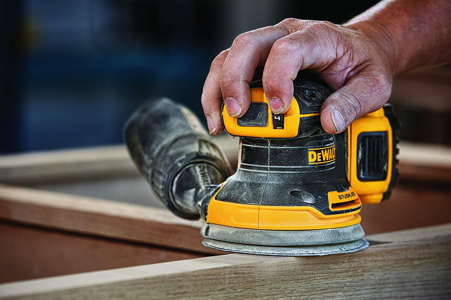 DEWALT 20V MAX XR Cordless Brushless 5 in. Random Orbital Sander (Tool Only)