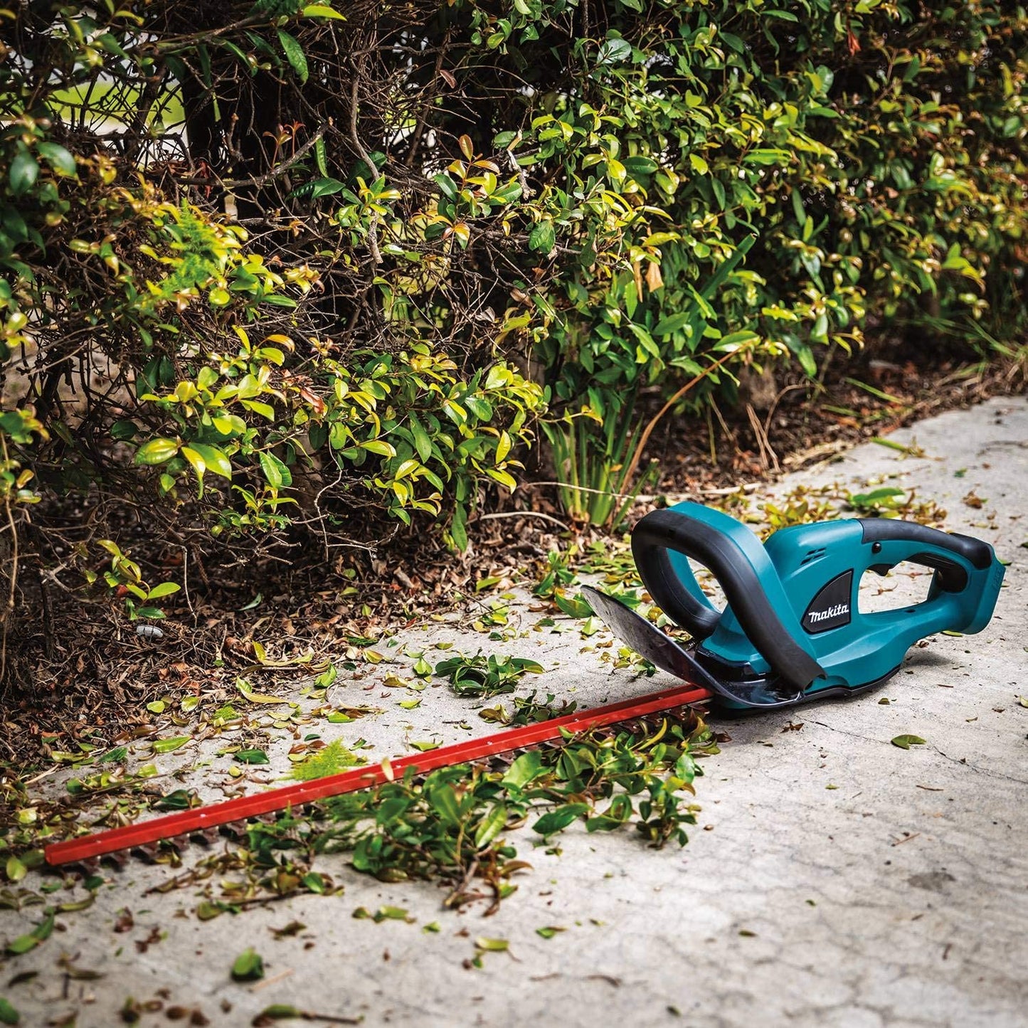Makita 22 in. 18V LXT Lithium-Ion Cordless Hedge Trimmer (Tool-Only)