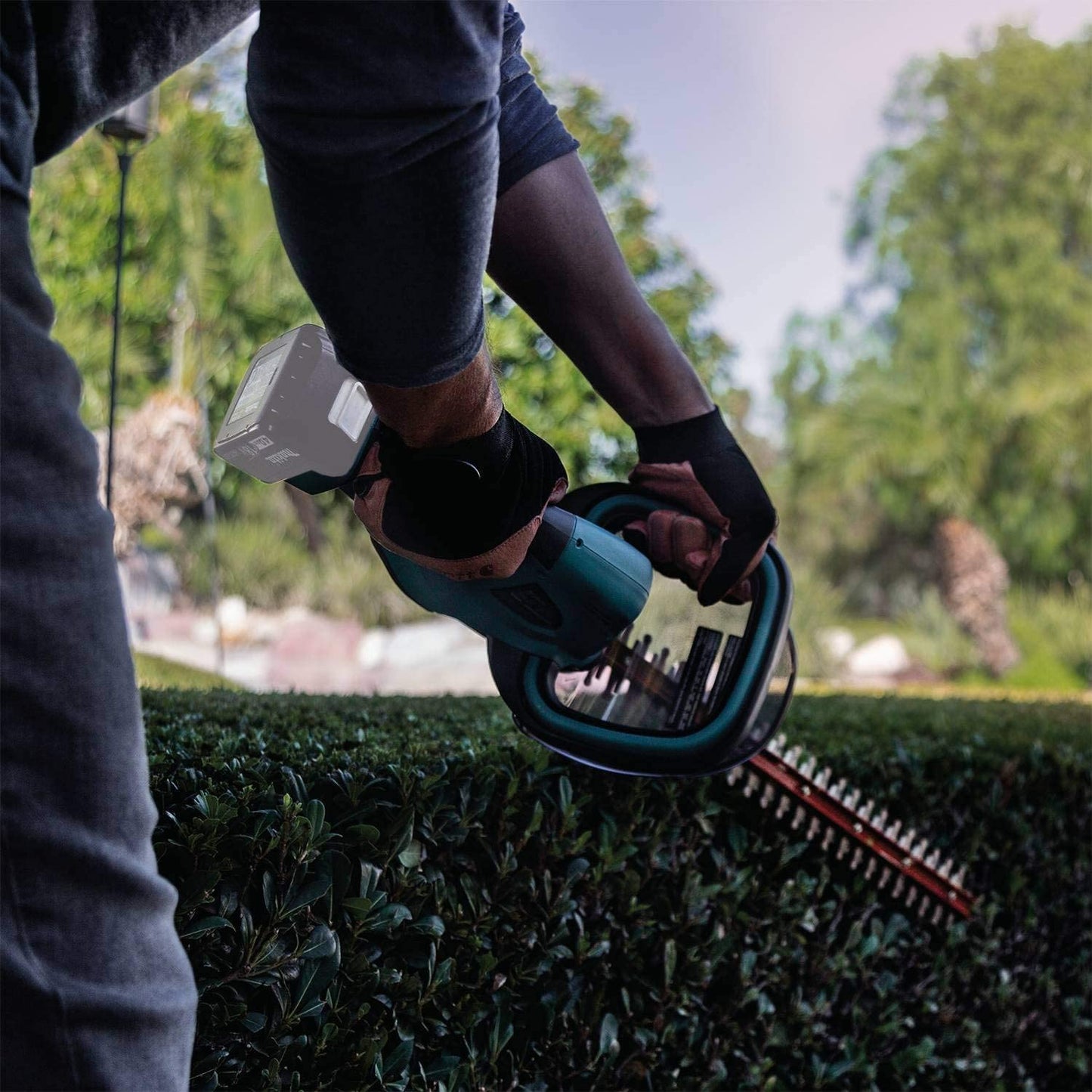 Makita 22 in. 18V LXT Lithium-Ion Cordless Hedge Trimmer (Tool-Only)