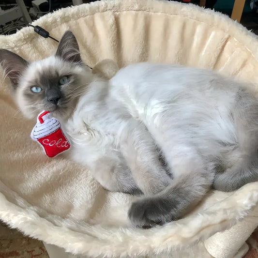 Cat Toys Catnip Plush Toys Bite Resistant For Kitten Teeth Cleaning Pet Supplies Cat Interactive Toys With Real Catmint Fillings