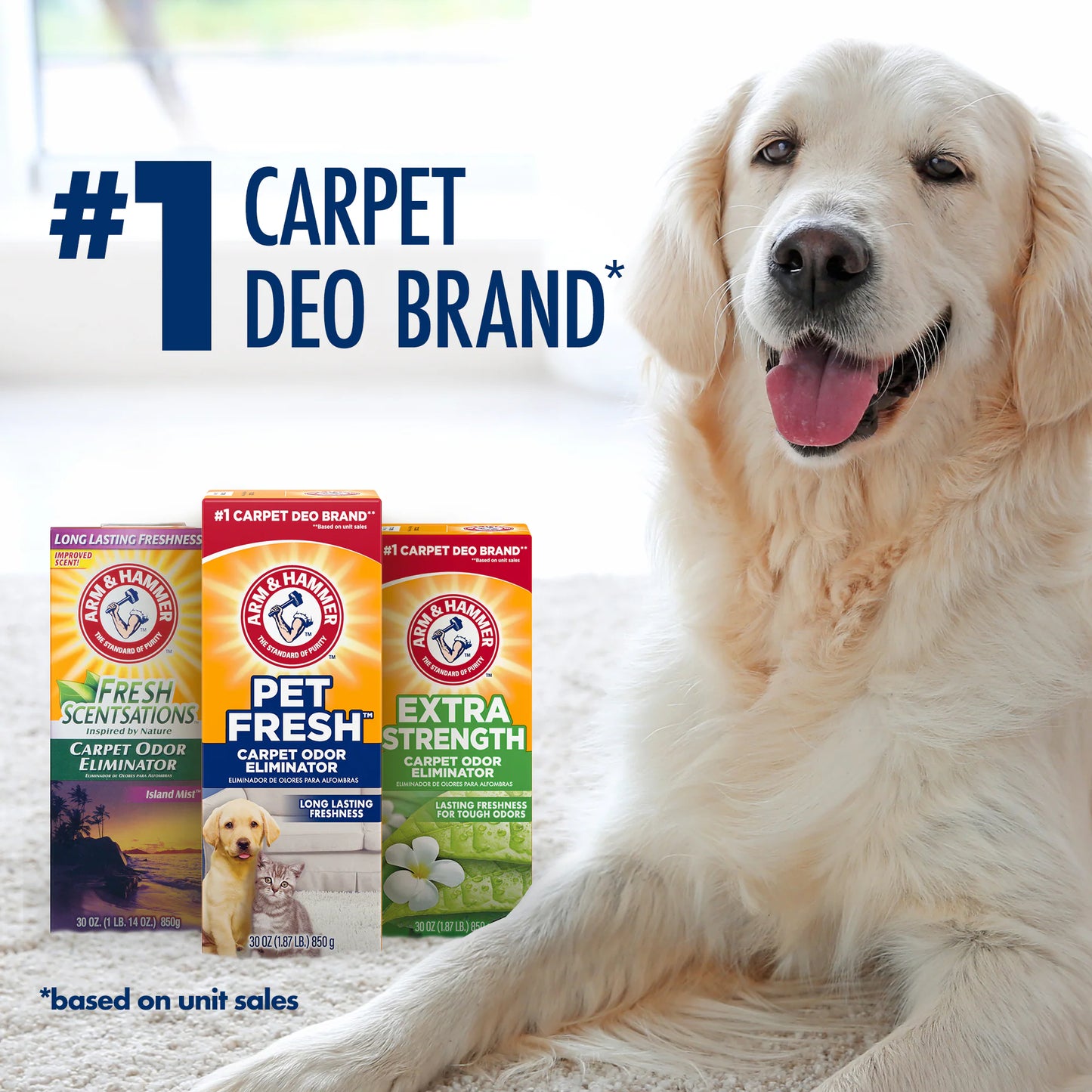 Carpet Cleaner Deodorizing Powder 42.6-Oz