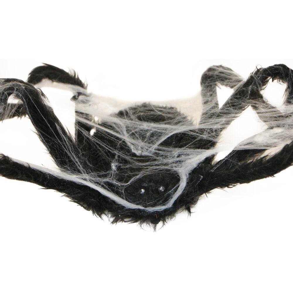 Haunted Hill Farm  3.5 in. Battery Operated Spider with Web and Red LED Eyes Halloween Prop