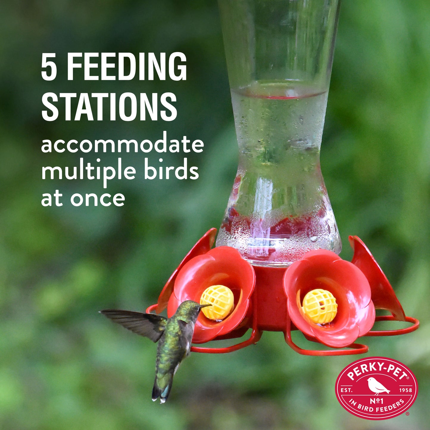 Favored Pinch-Waist Glass Hanging Squirrel-Resistant Nectar Hummingbird Feeder - 16-Oz