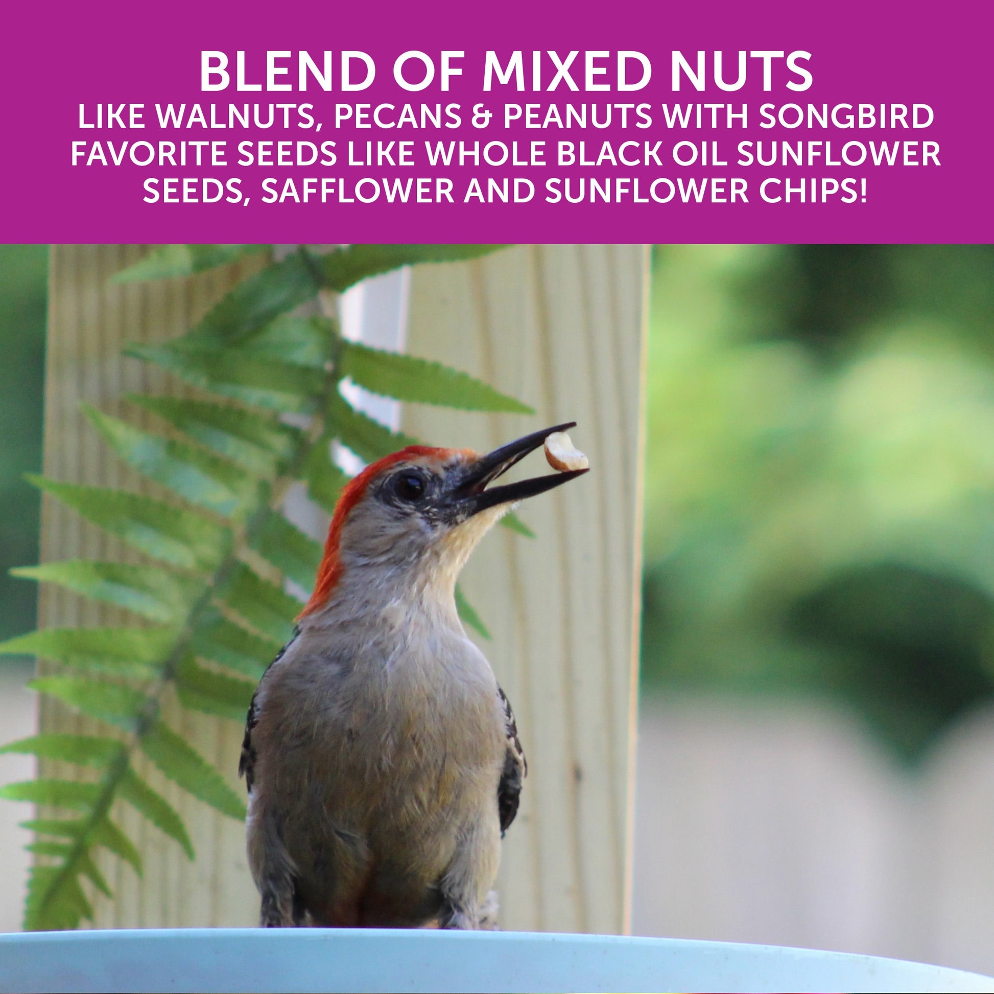Double Nut Wild Bird Seed Mix with Sunflower Seeds 2.5-Lb