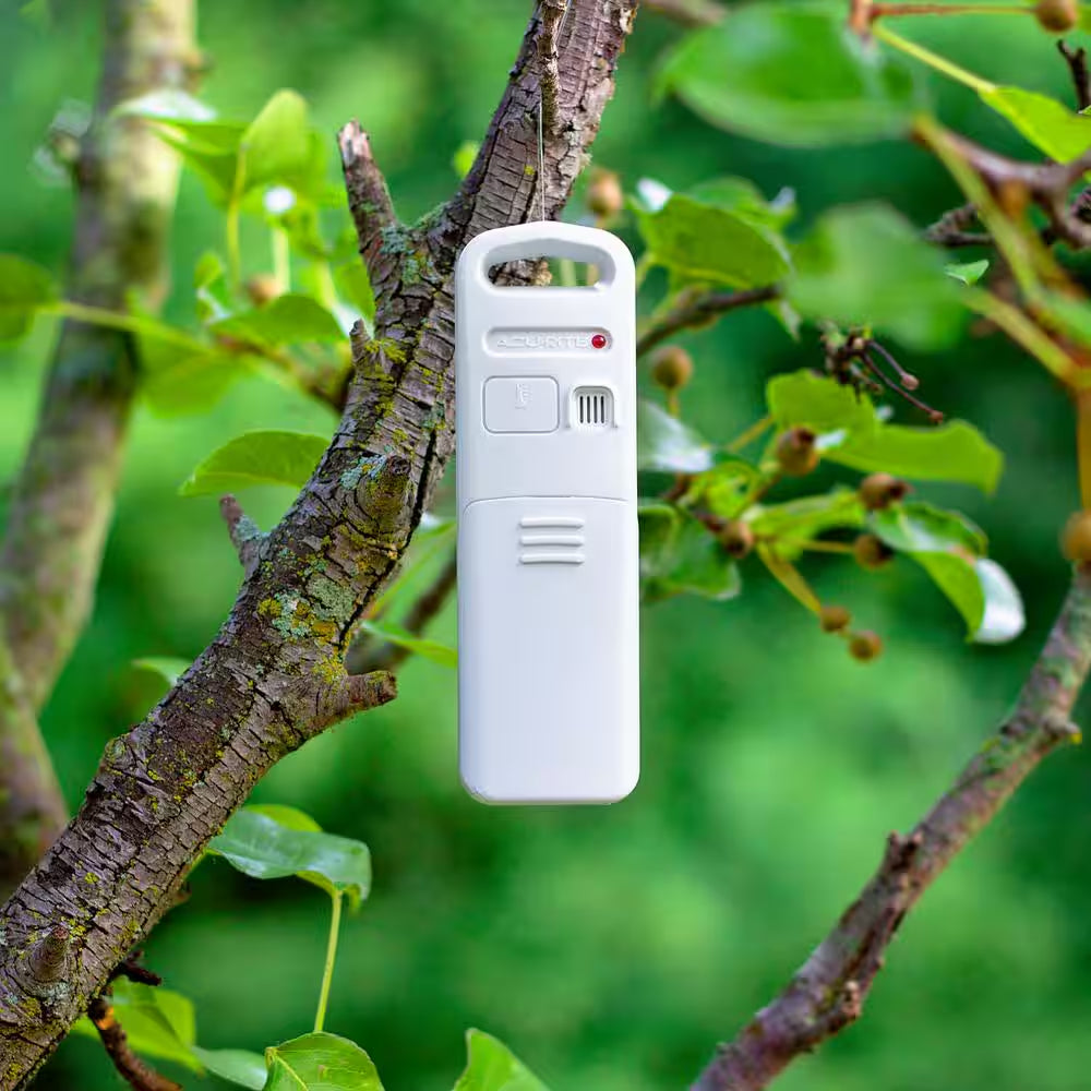 Weather Valet with Qi-Certified Wireless Charging Pad and Alarm Clock