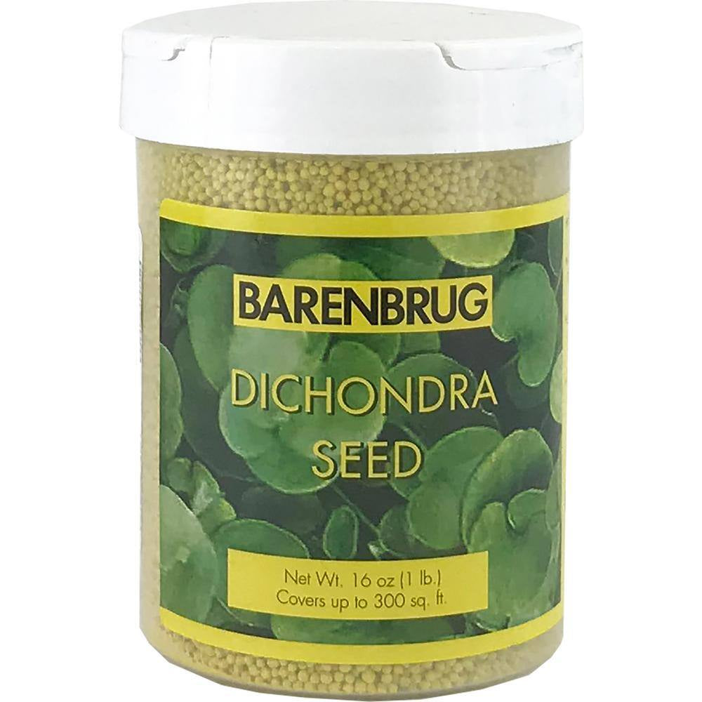 1 Lb. Dichondra Grass Seed