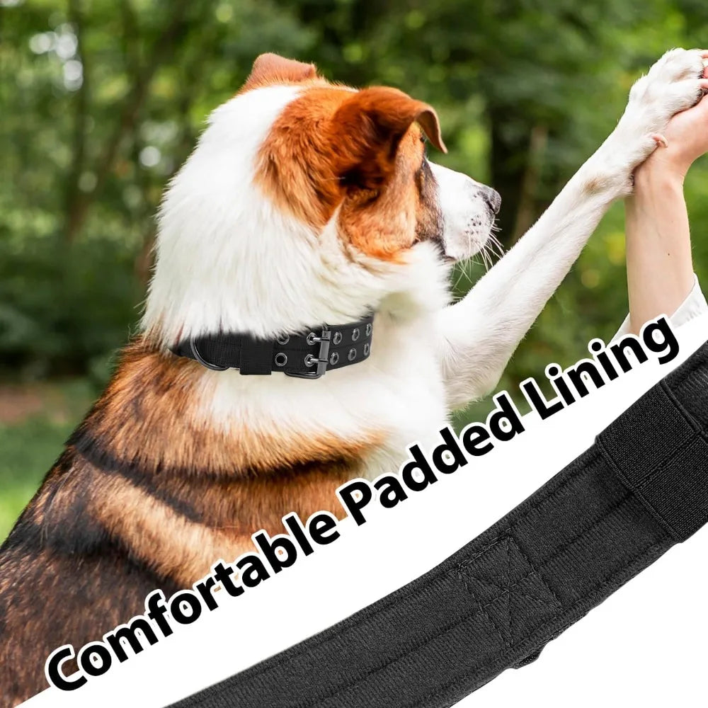 Military Dog Collar, Adjustable Nylon with Metal Buckle, Soft Padded, for Medium Large Dogs, Black M