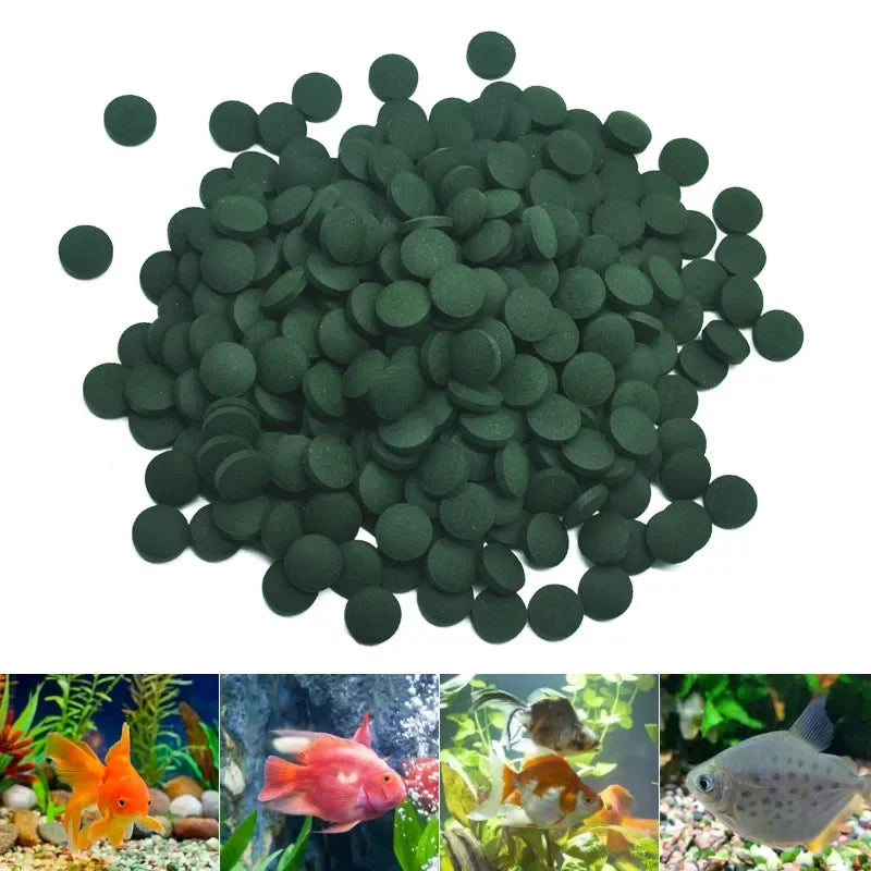 100/500Pcs Spirulina Tablets Enrichment Favorite Pet Food Fish Crystal Red Shrimp Pet Food