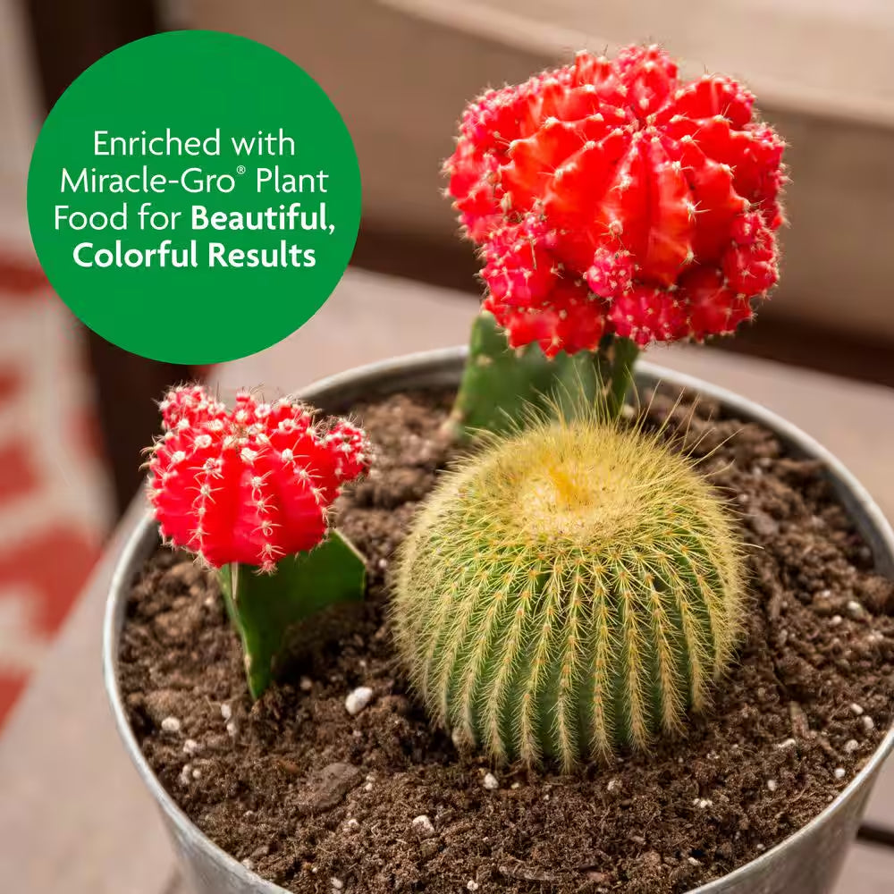 Cactus, Palm and Citrus Potting Mix Soil 8 Qt. Great for Succulents, for Indoor or Outdoor Container Plants (2-Pack)