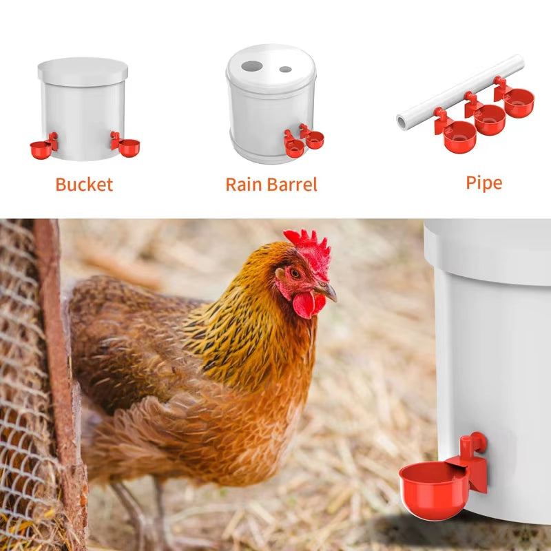 50Pcs Automatic Poultry Drinking Bowl Chicken Waterer Cups Duck Drinking Machine Hanging Drinking Bowls Water Dispenser Acessory