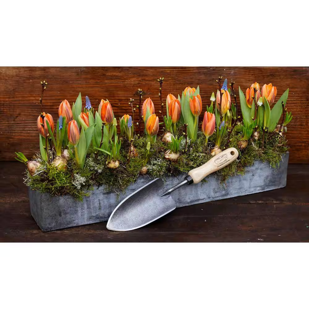 Forged Trowel X-Treme