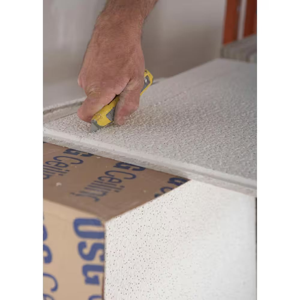 2 Ft. X 2 Ft. Radar Basic White Square Edge Lay-In Ceiling Tile, Case of 4 (16 Sq. Ft.)
