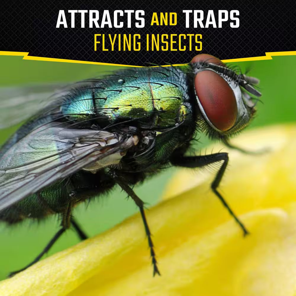 Fly Stick Insect Trap (4-Pack)