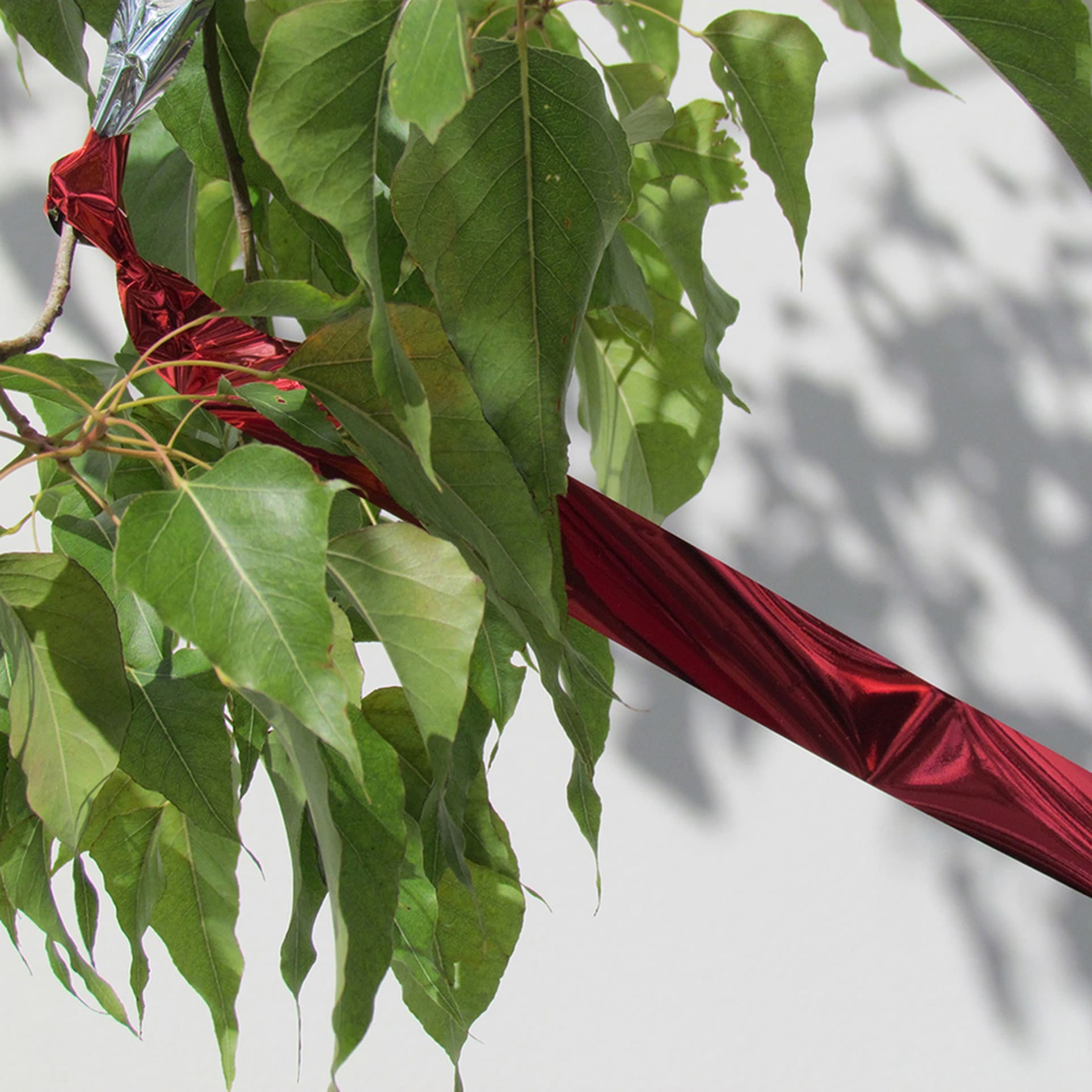 Flash Tape Bird Repellent