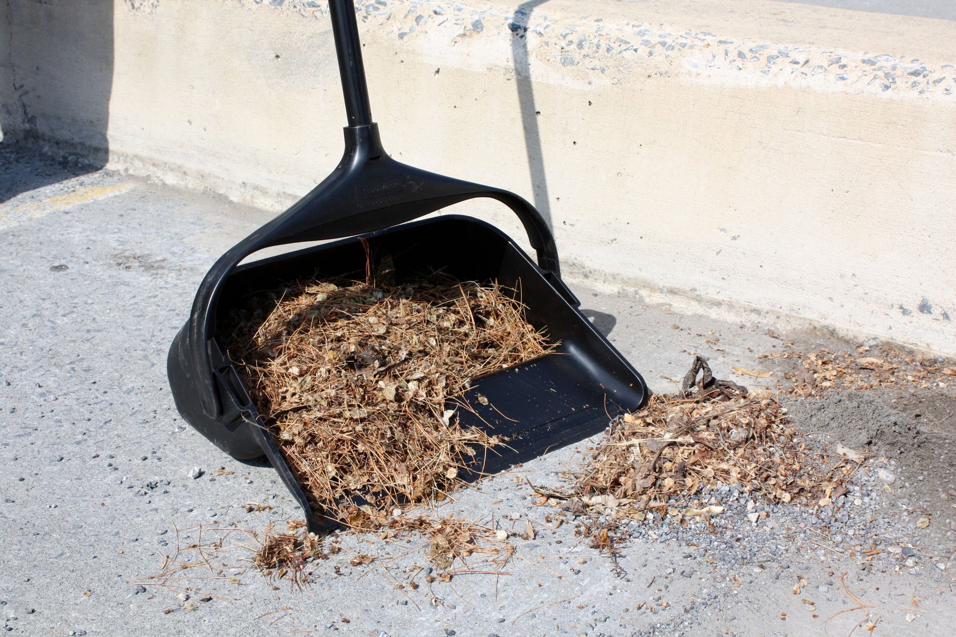 Plastic Lobby Pro Upright Dustpan