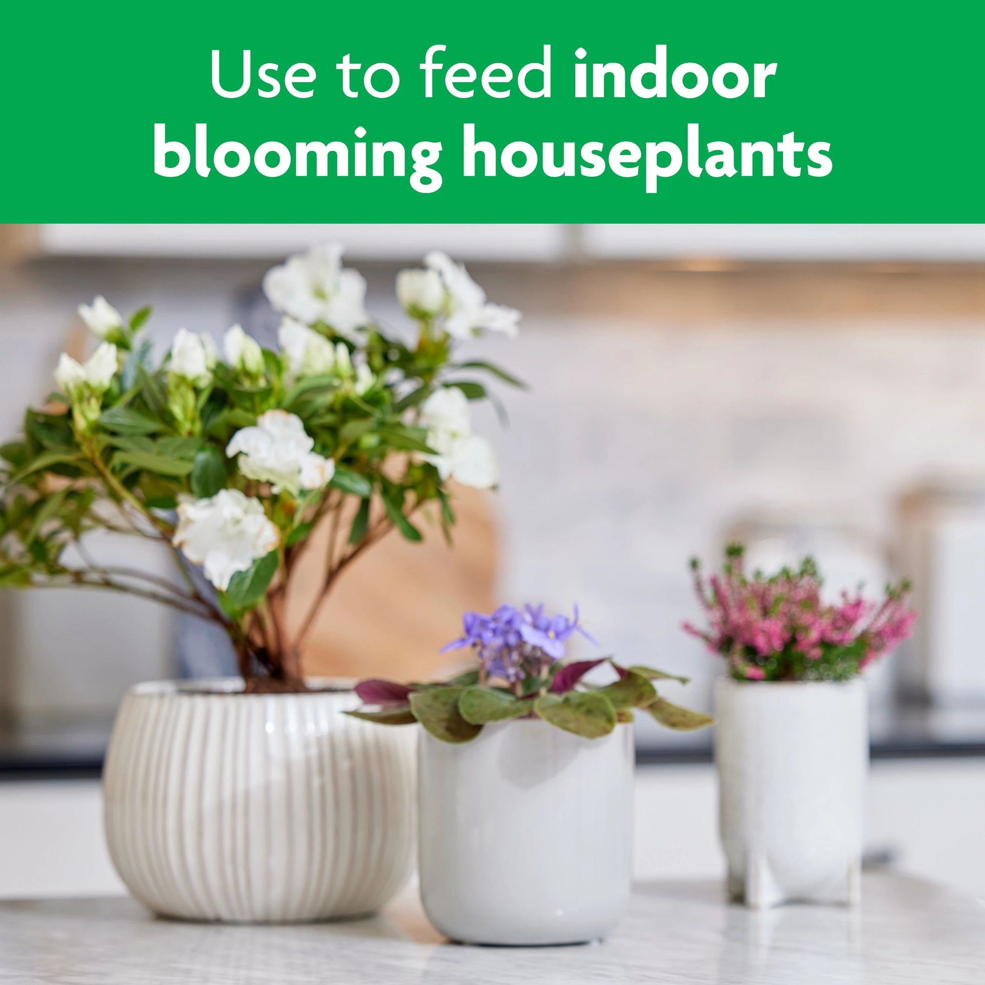 Blooming Houseplant Food 0.5-1.0-0.5 Liquid Flower Food (8-Fl Oz)
