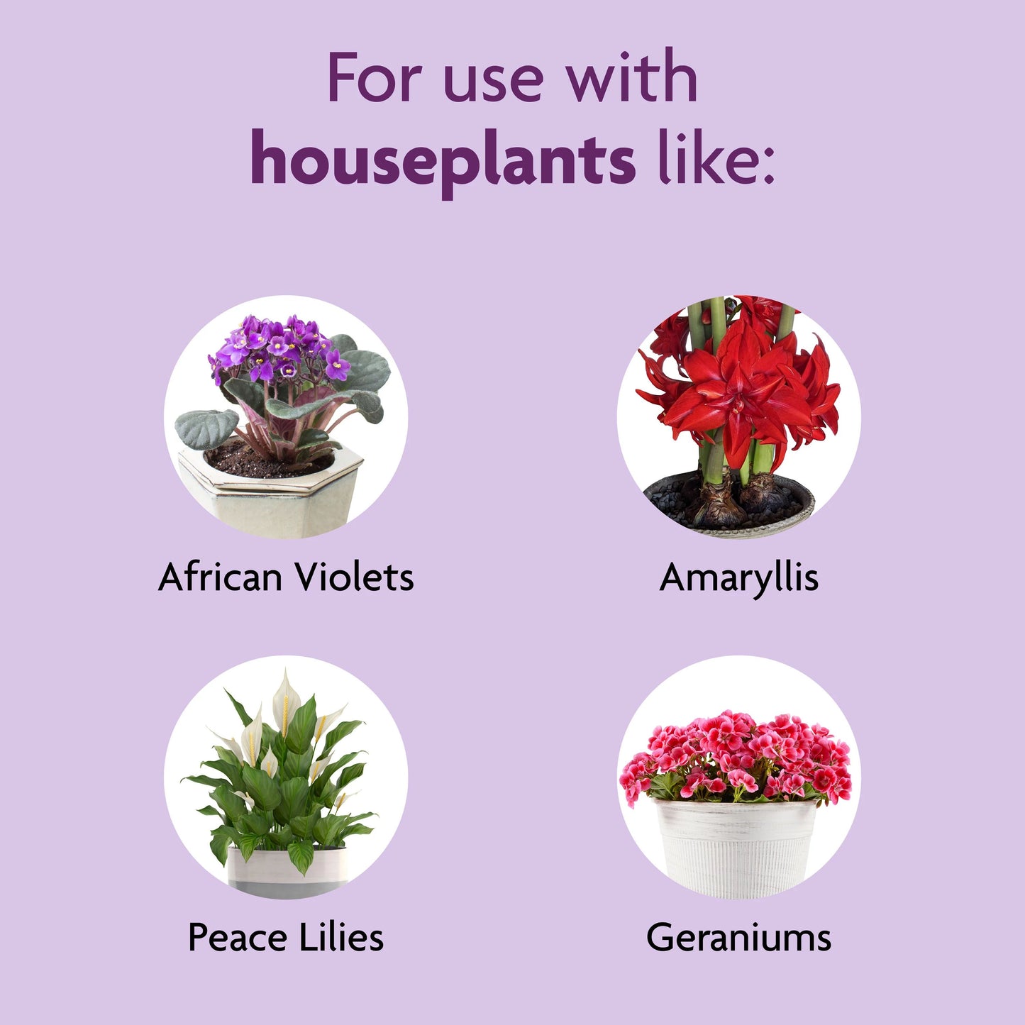 Blooming Houseplant Food 0.5-1.0-0.5 Liquid Flower Food (8-Fl Oz)