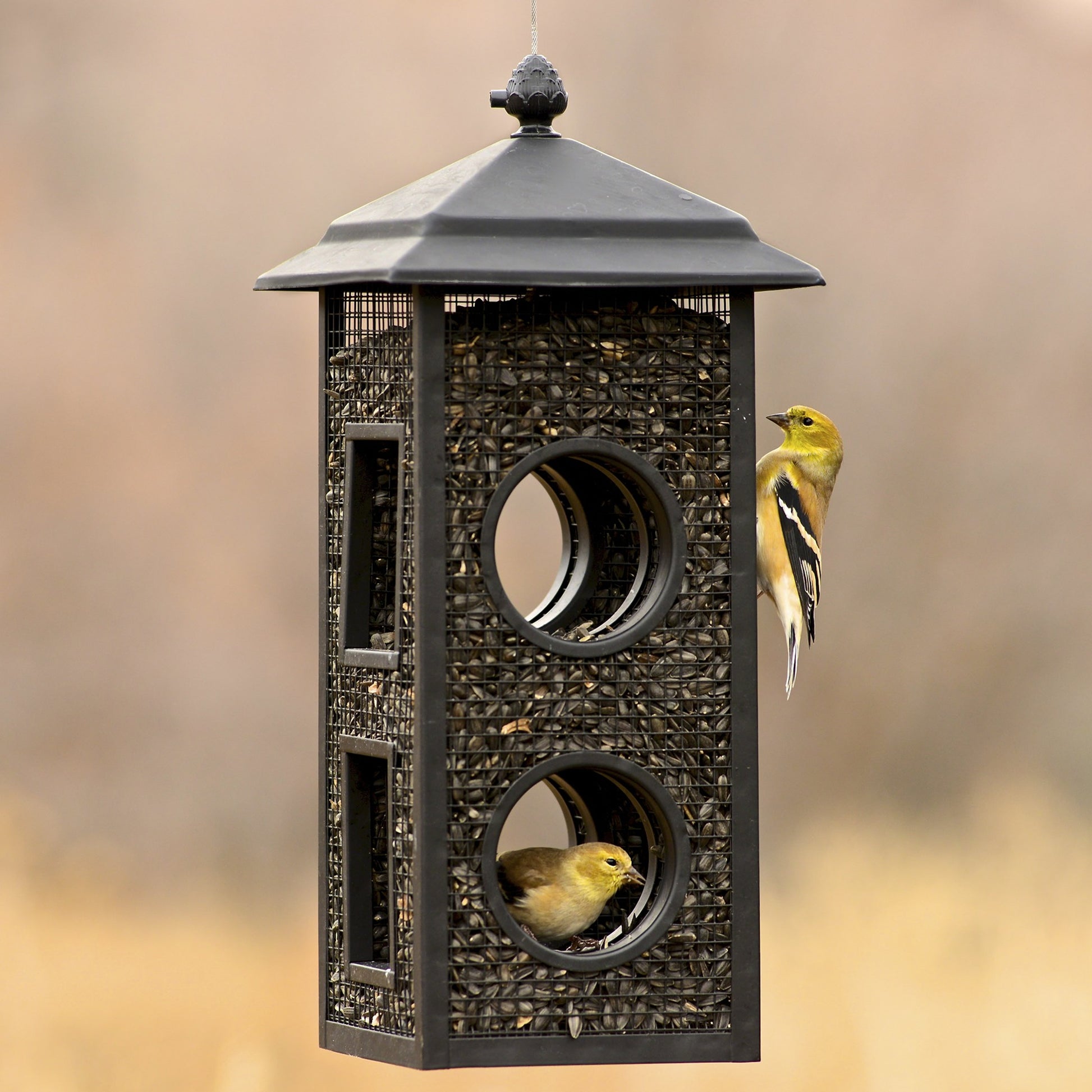 Mesh Hanging Fly through Bird Feeder - 2-Lb
