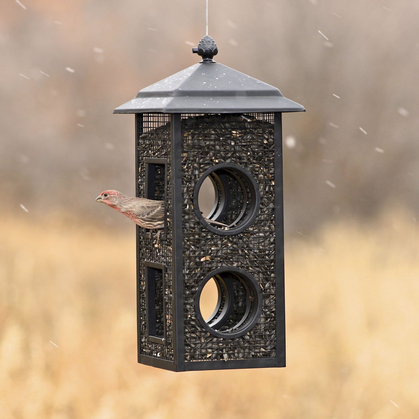 Mesh Hanging Fly through Bird Feeder - 2-Lb