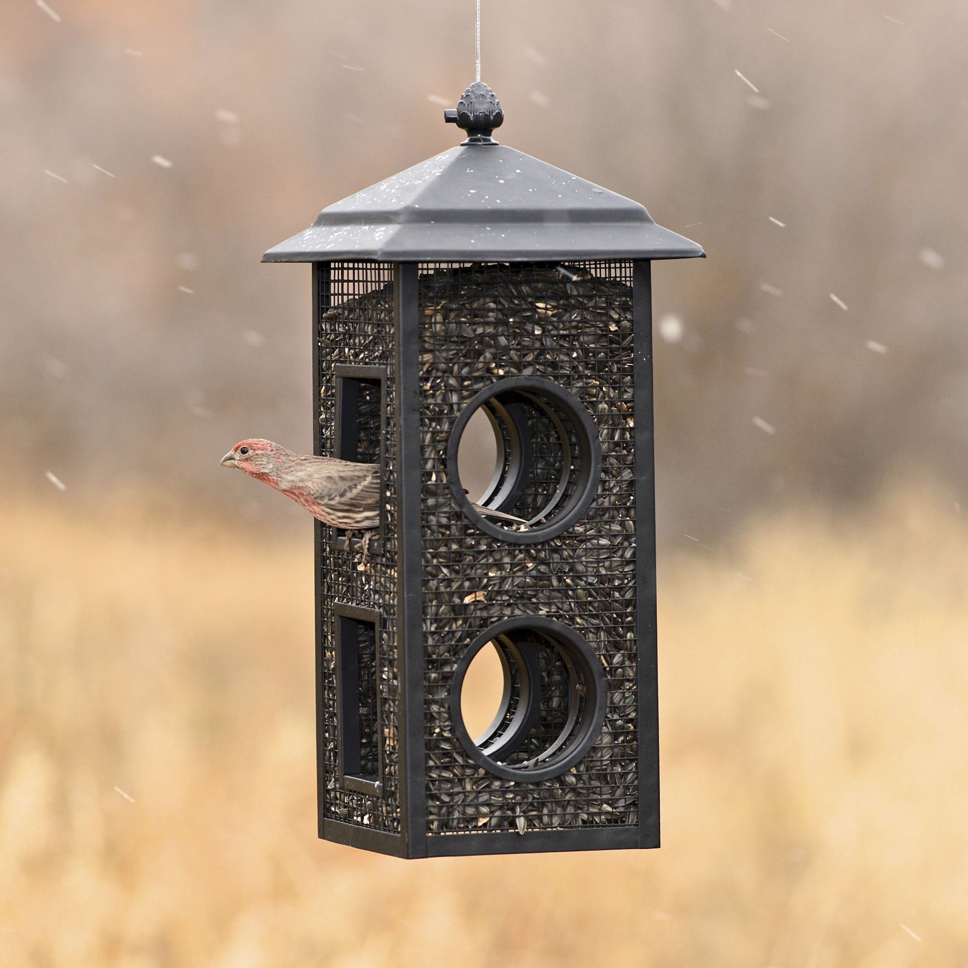 Mesh Hanging Fly through Bird Feeder - 2-Lb