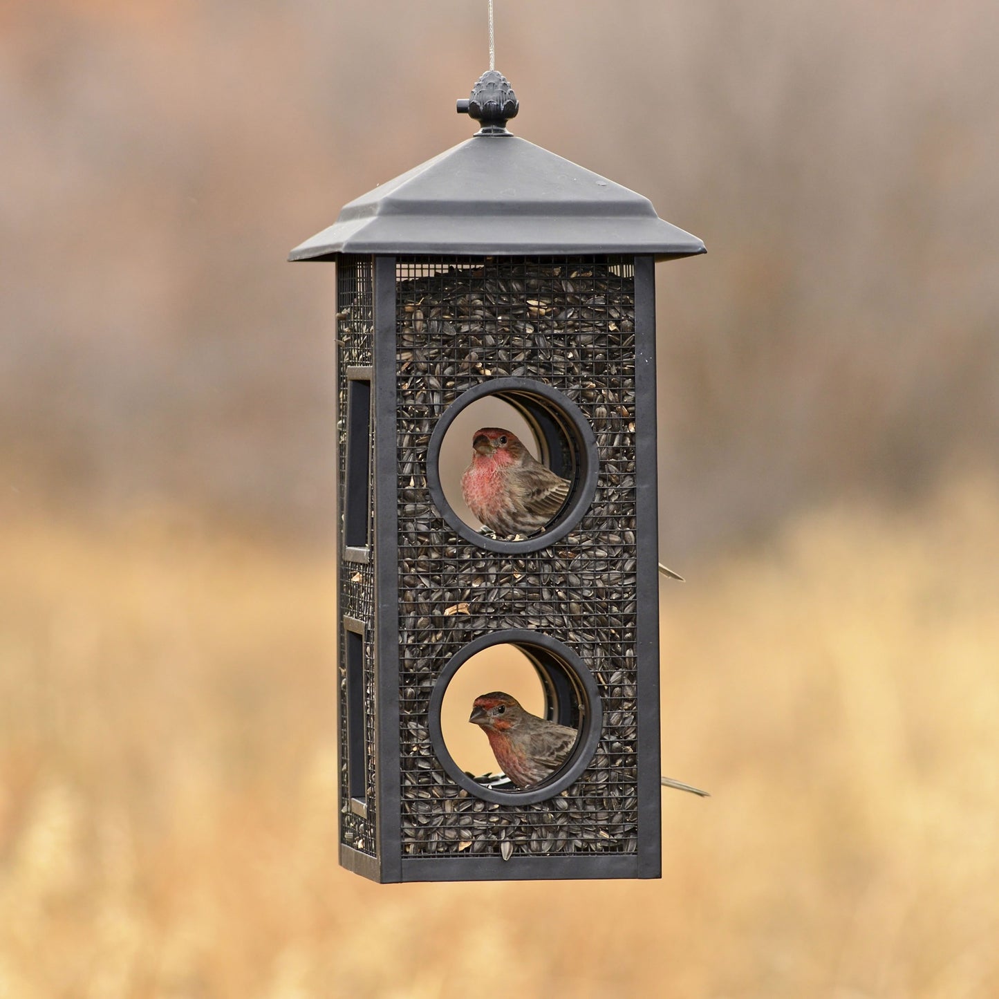 Mesh Hanging Fly through Bird Feeder - 2-Lb