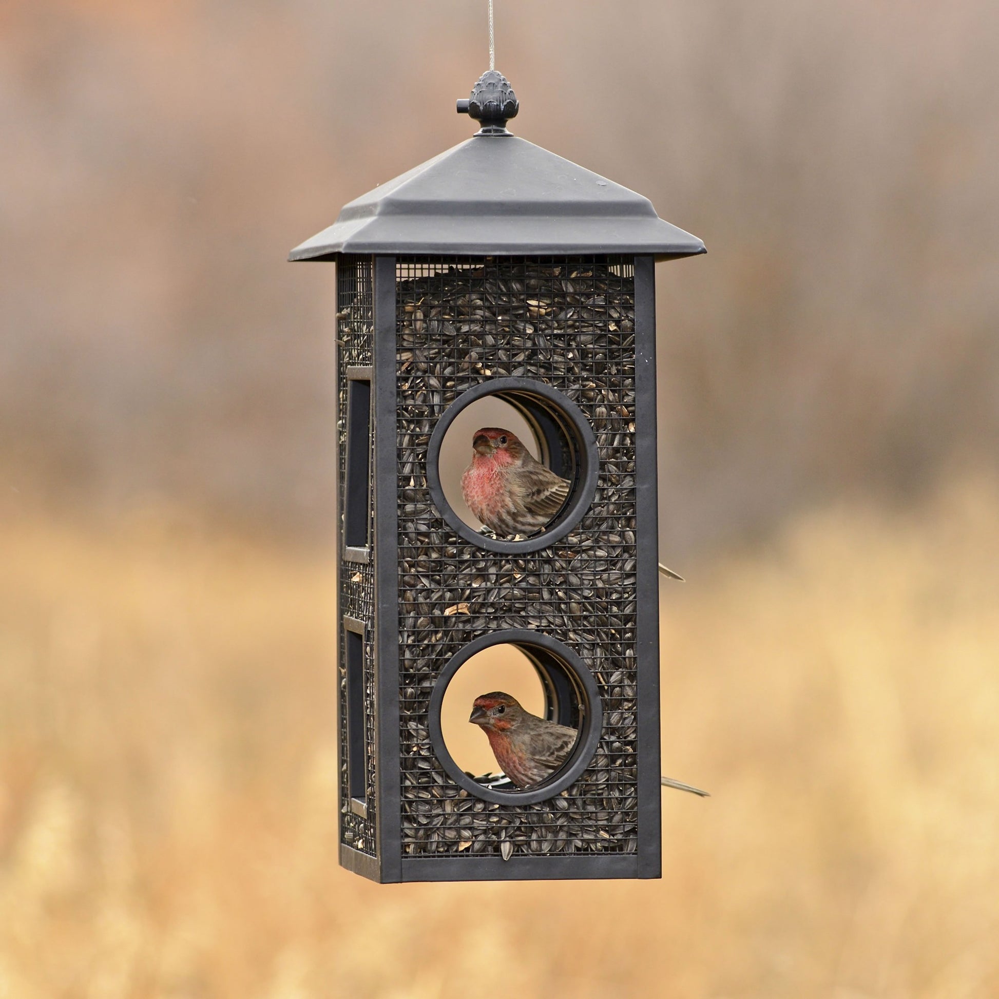 Mesh Hanging Fly through Bird Feeder - 2-Lb