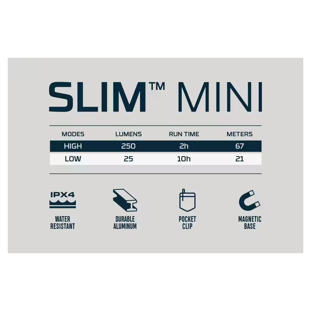 Slim 250 Lumens Rechargeable Battery LED Pocket Light