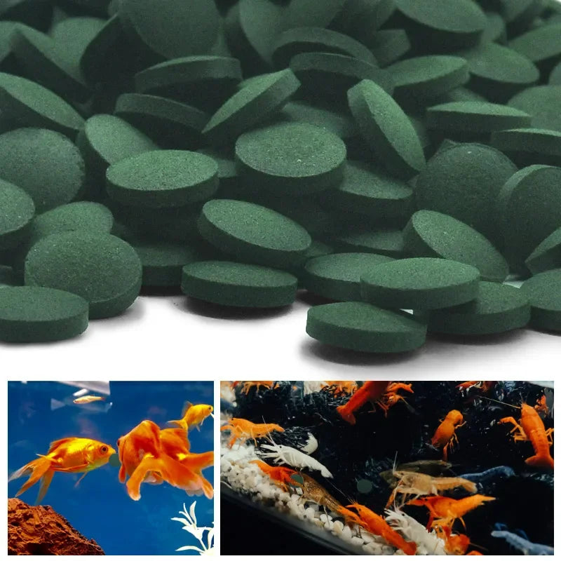 100/500Pcs Spirulina Tablets Enrichment Favorite Pet Food Fish Crystal Red Shrimp Pet Food