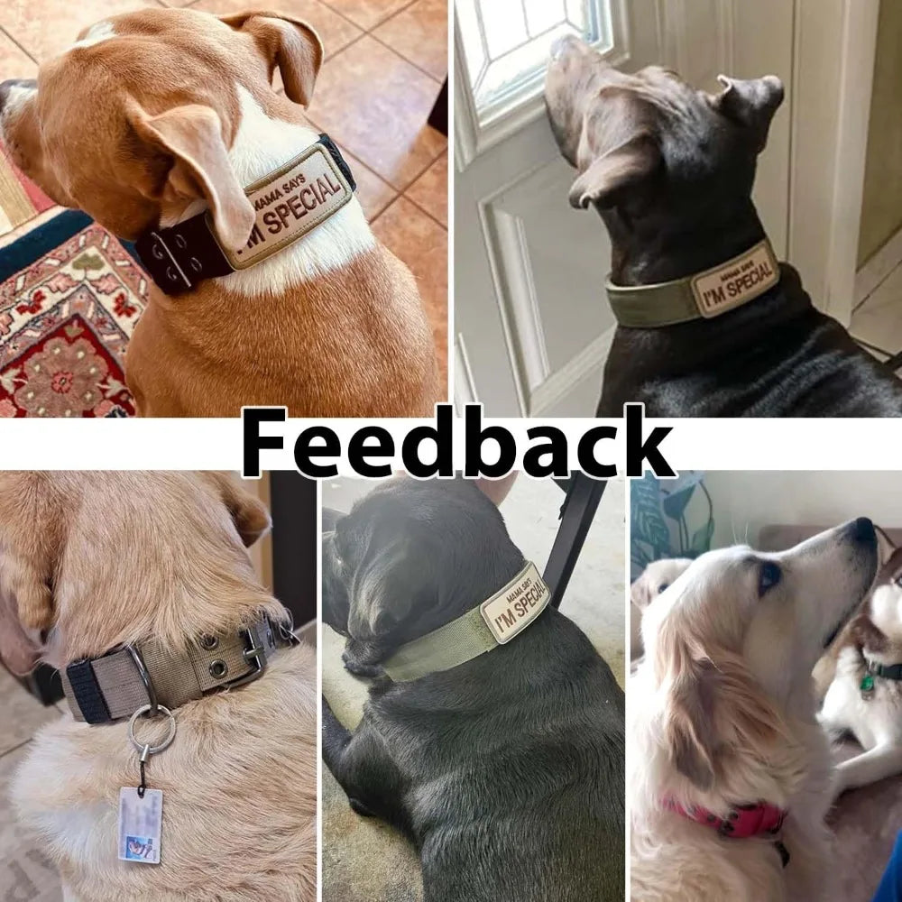 Military Dog Collar, Adjustable Nylon with Metal Buckle, Soft Padded, for Medium Large Dogs, Black M