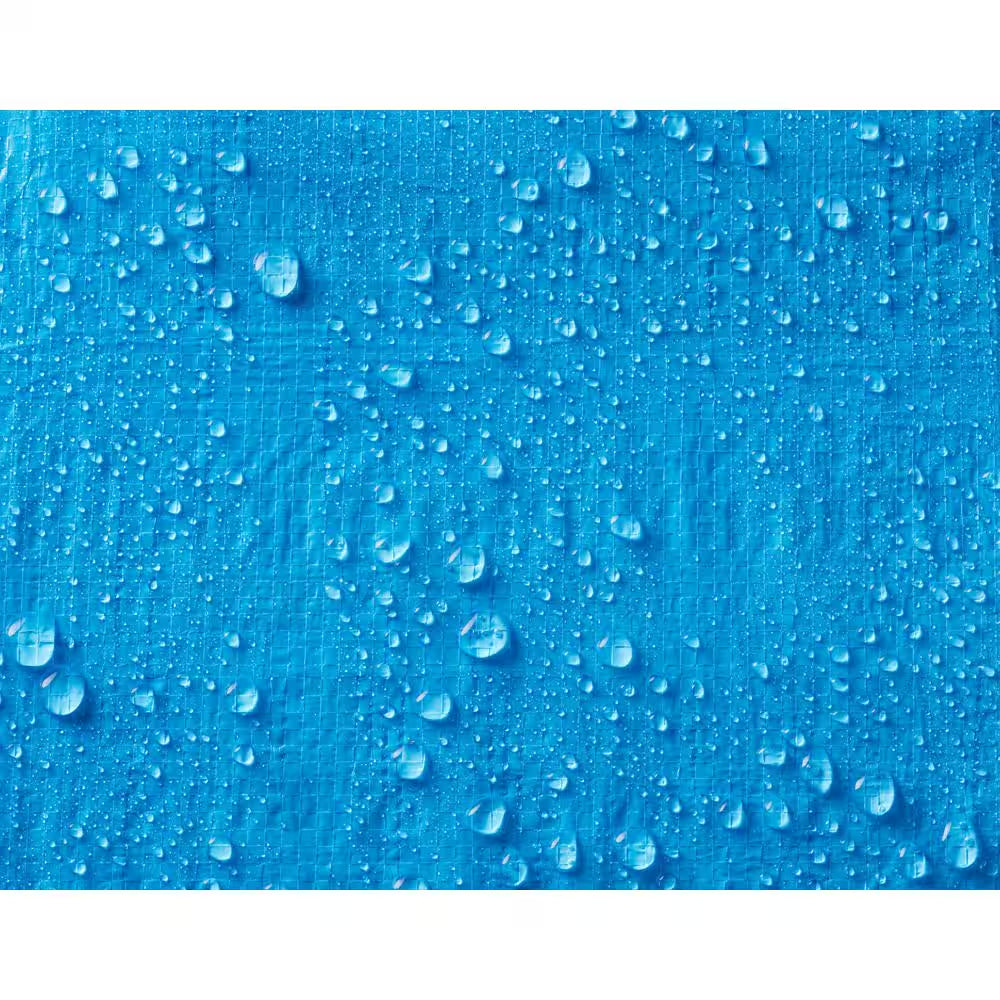 8 Ft. W X 10 Ft. L Blue Light Duty Tarp