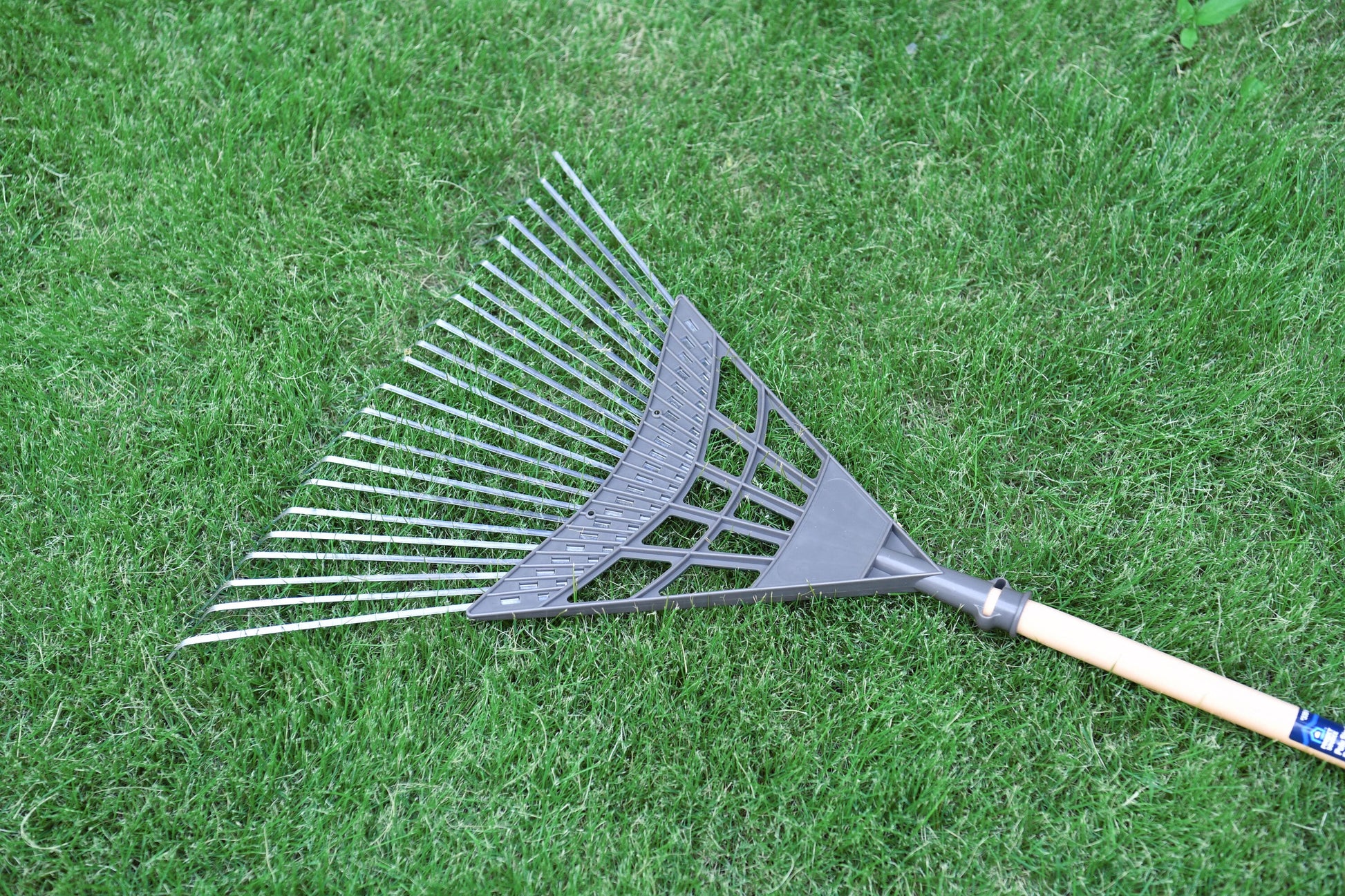 8-In Carbon Steel Lawn Rake with Steel Handle