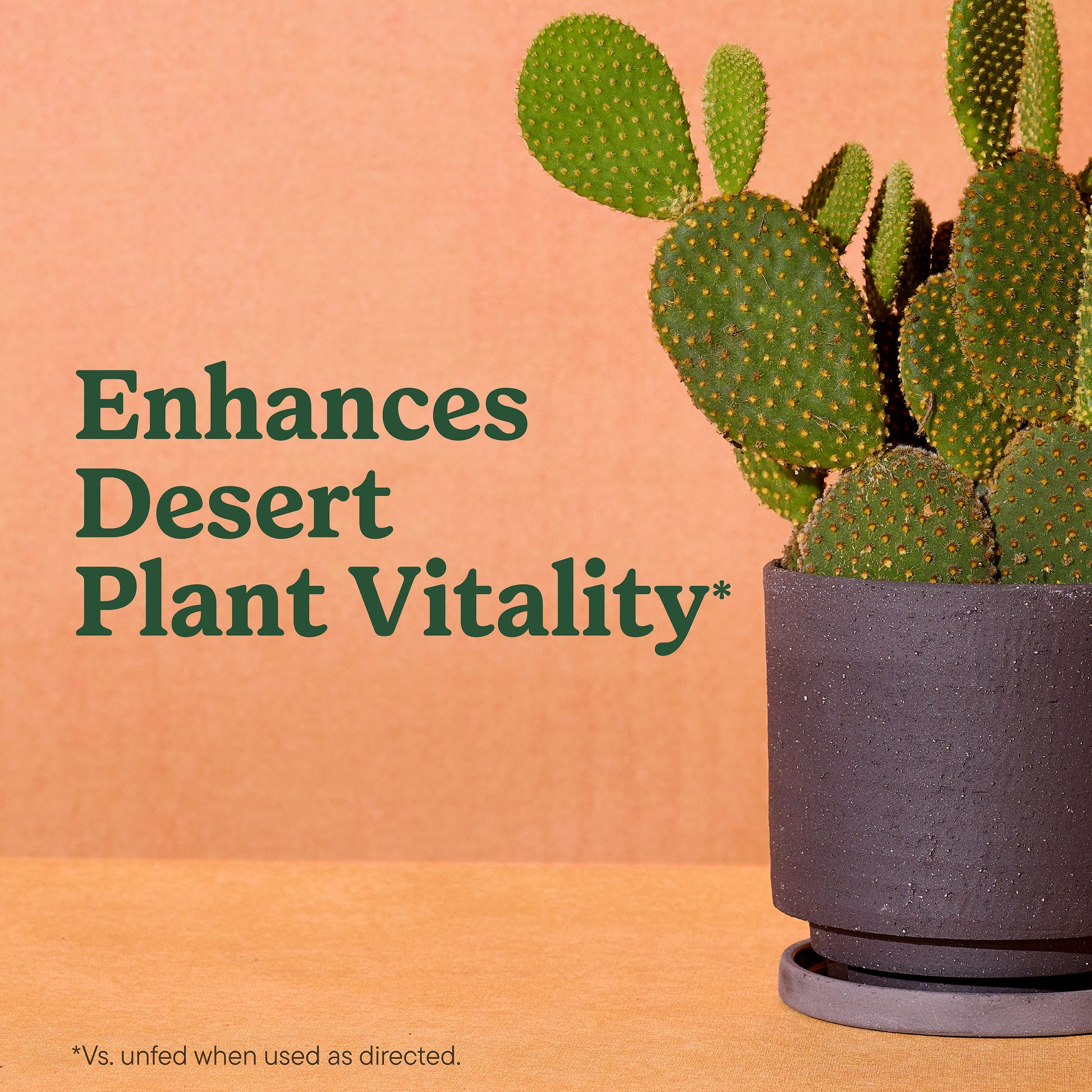 8 Quart(S) Cactus Soil Potting Soil Mix