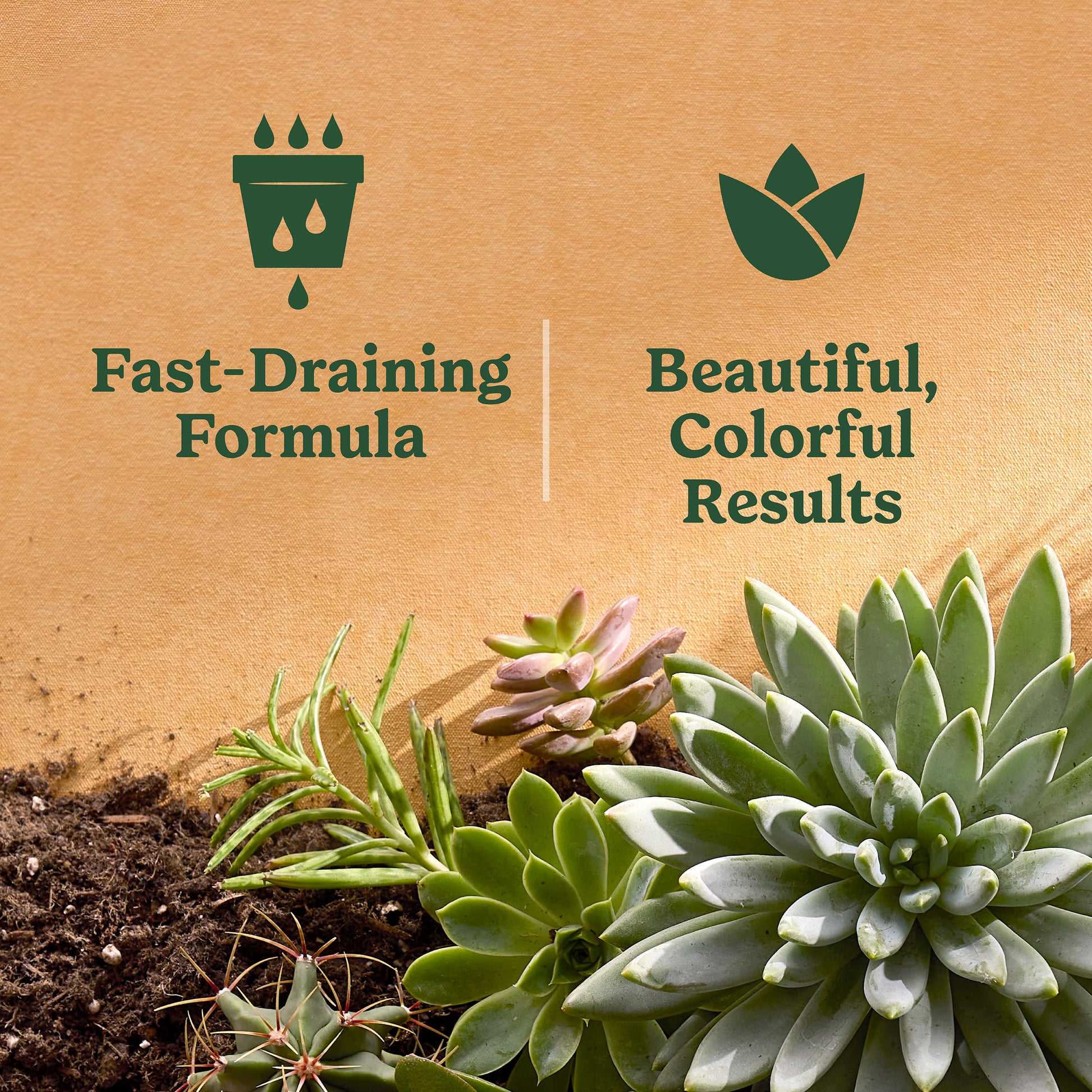 8 Quart(S) Cactus Soil Potting Soil Mix