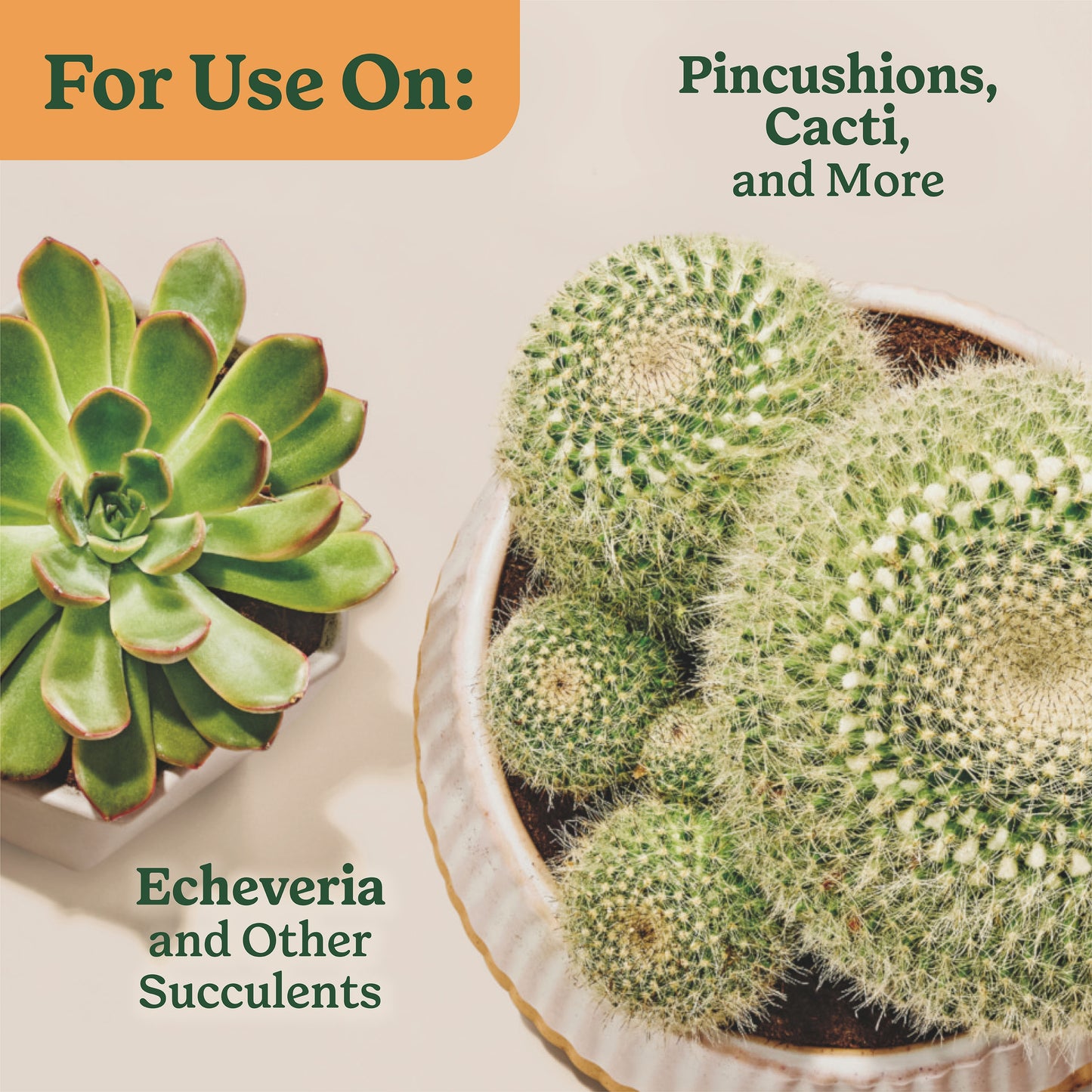 8 Quart(S) Cactus Soil Potting Soil Mix