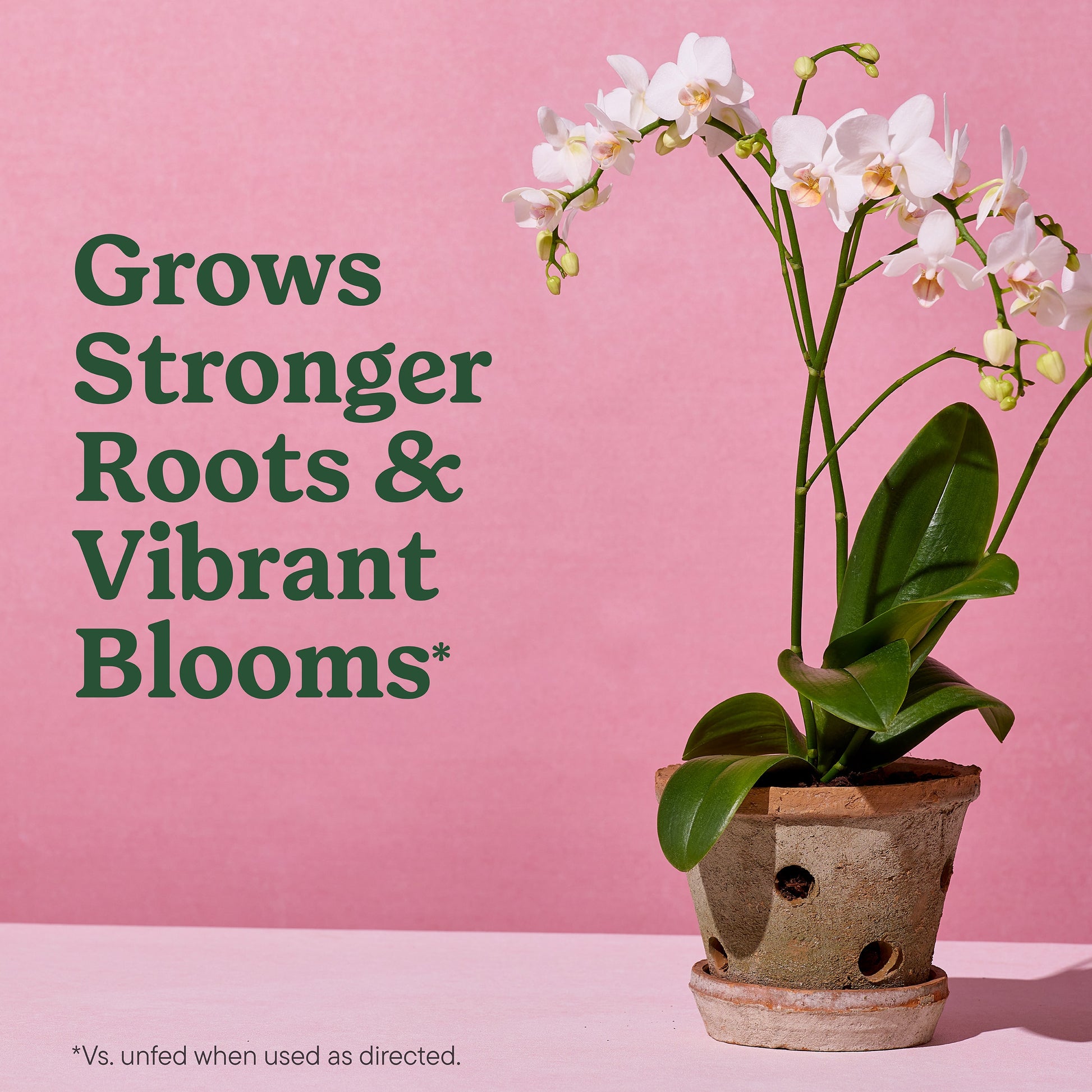 Orchids 8 Quart(S) All-Purpose Potting Soil Mix