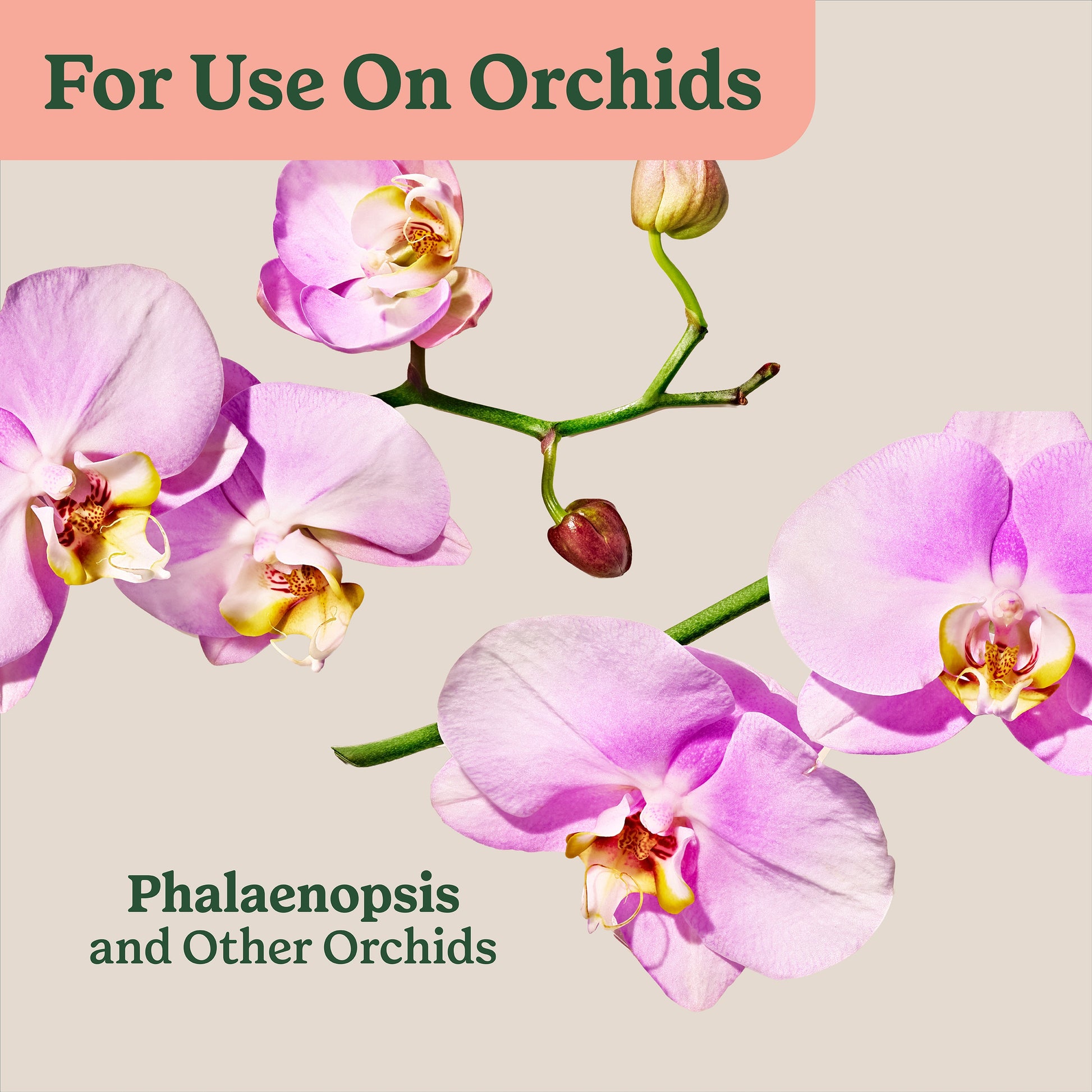 Orchids 8 Quart(S) All-Purpose Potting Soil Mix