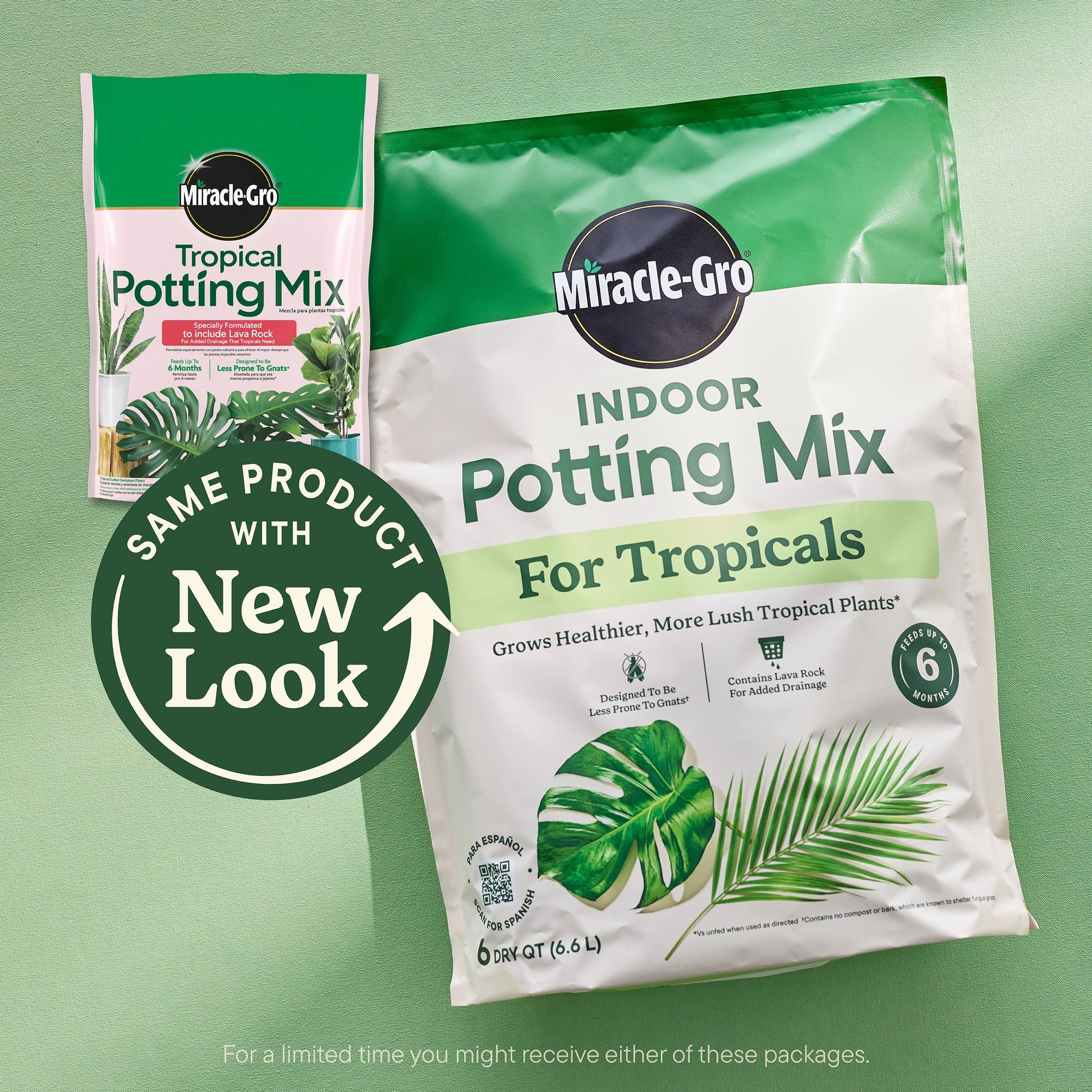 Indoor 6 Quart(S) Tropical and Succulent Potting Soil Mix
