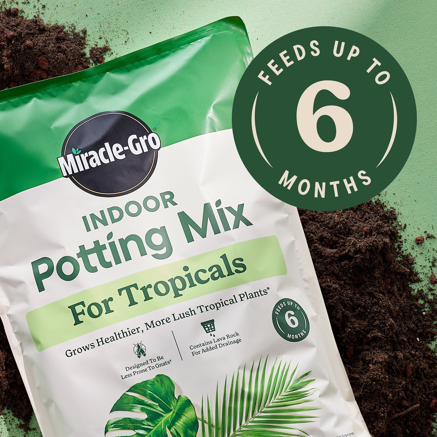 Indoor 6 Quart(S) Tropical and Succulent Potting Soil Mix