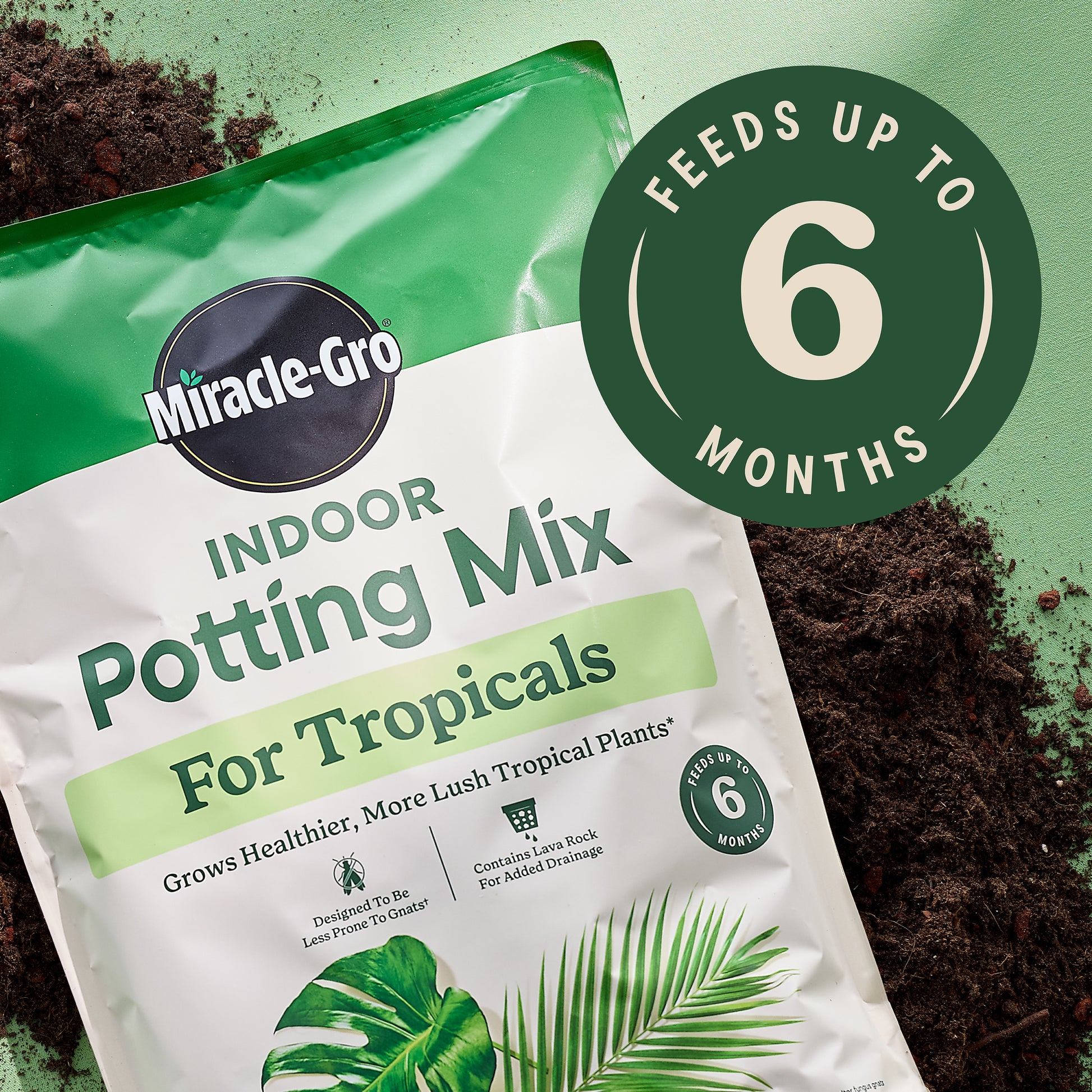 Indoor 6 Quart(S) Tropical and Succulent Potting Soil Mix