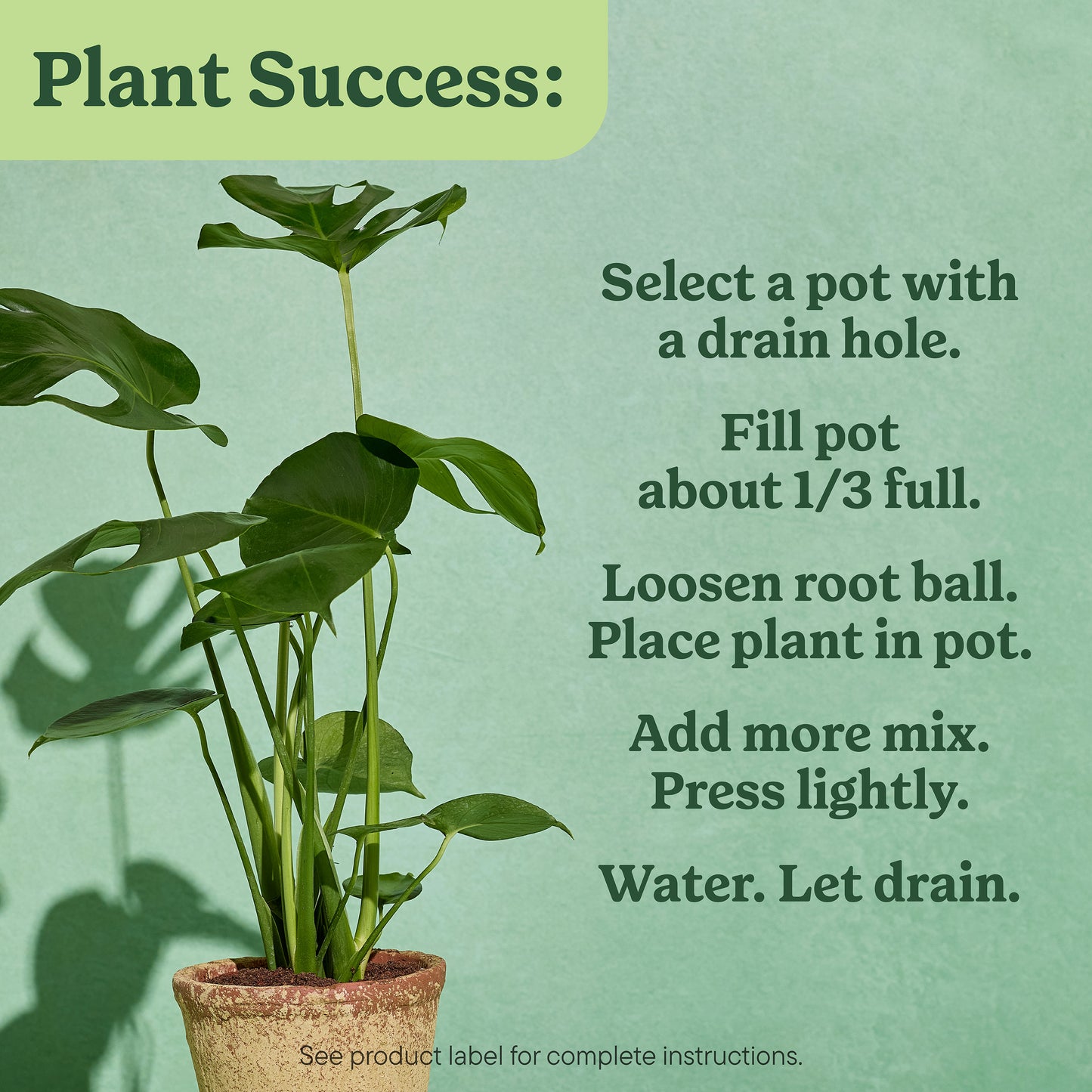 Indoor 6 Quart(S) Tropical and Succulent Potting Soil Mix