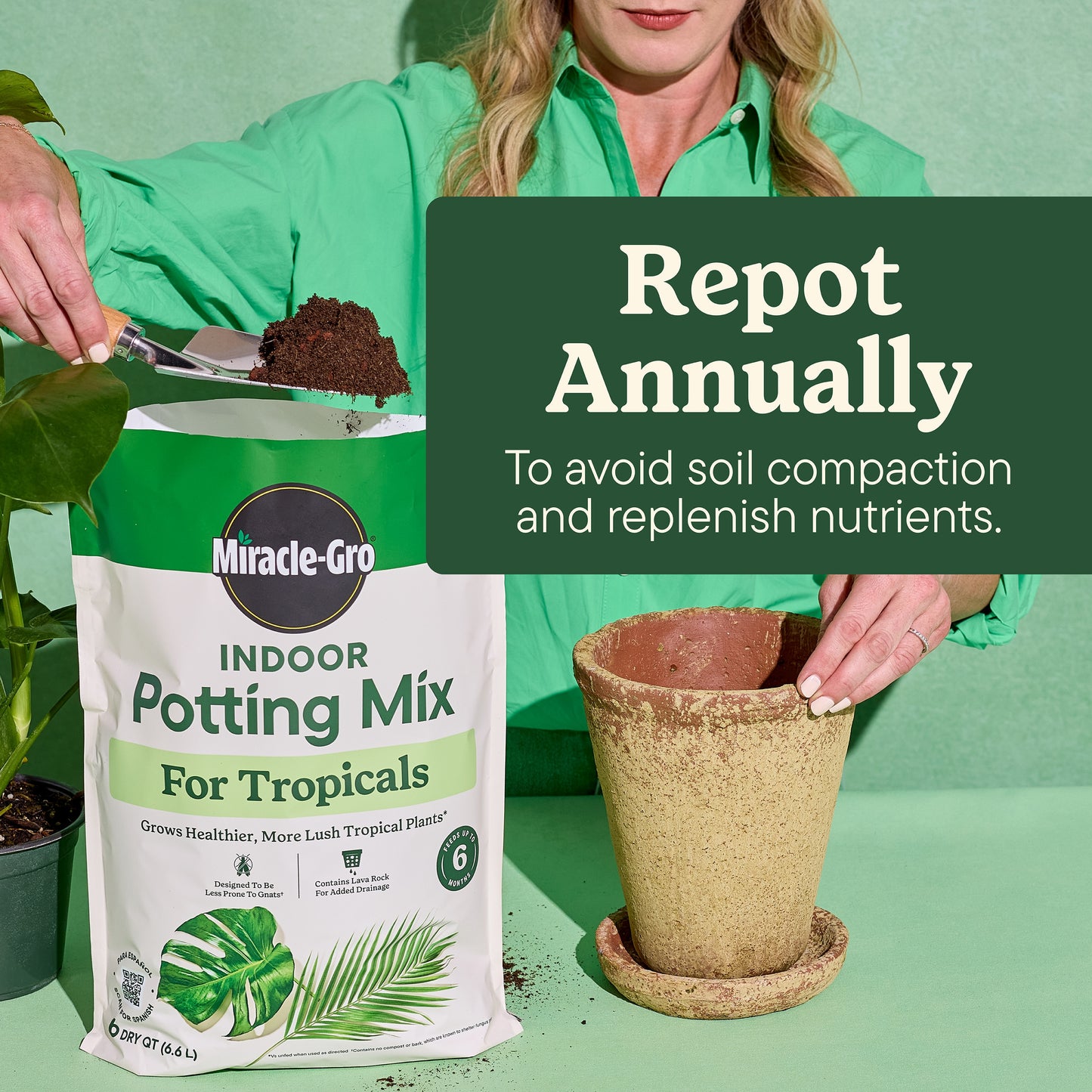 Indoor 6 Quart(S) Tropical and Succulent Potting Soil Mix
