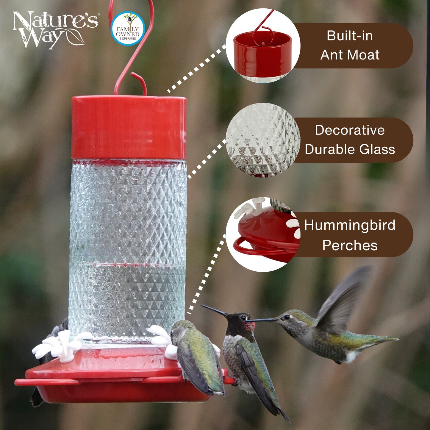 Charming Cherry Glass Hanging Hummingbird Feeder - 13-Oz