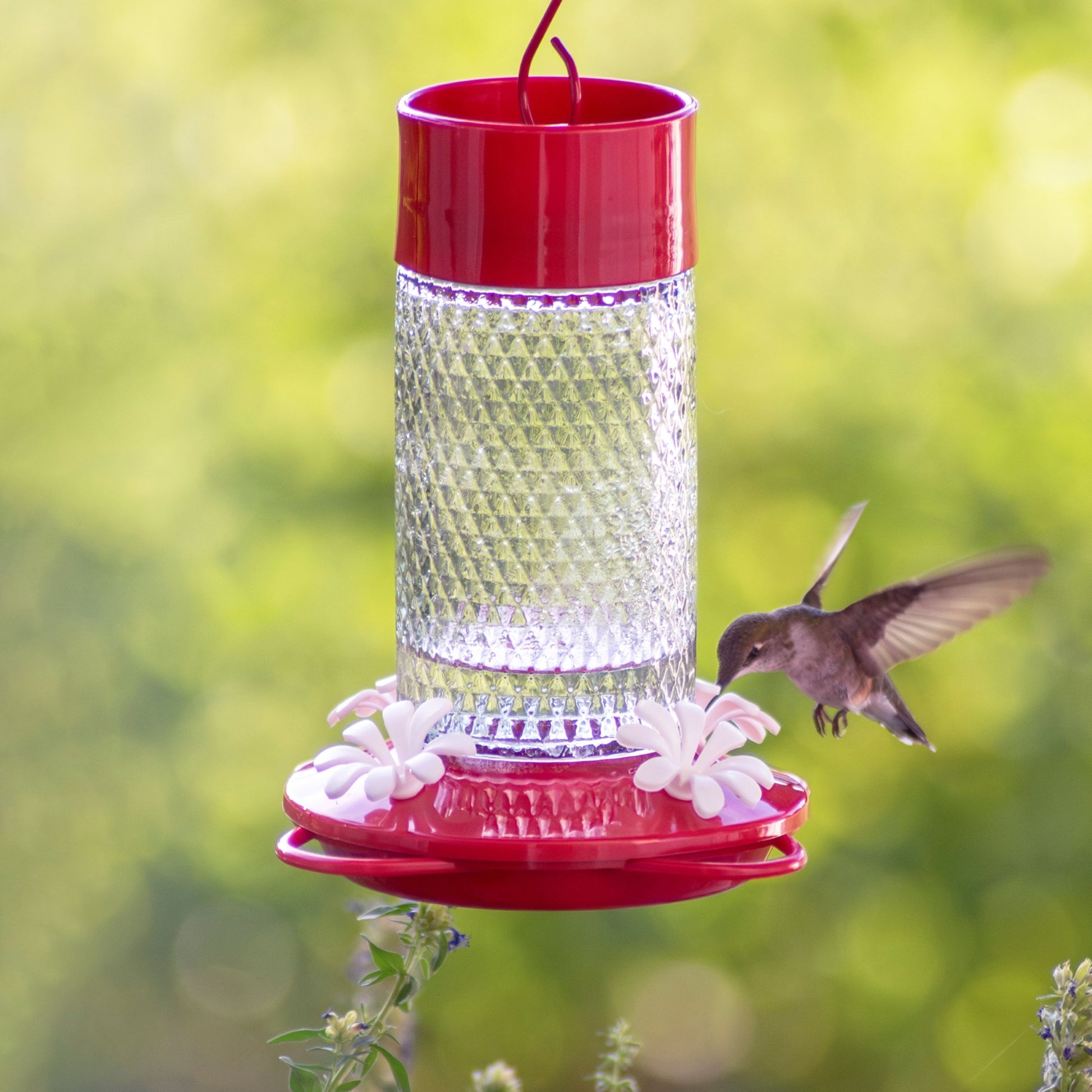 Charming Cherry Glass Hanging Hummingbird Feeder - 13-Oz