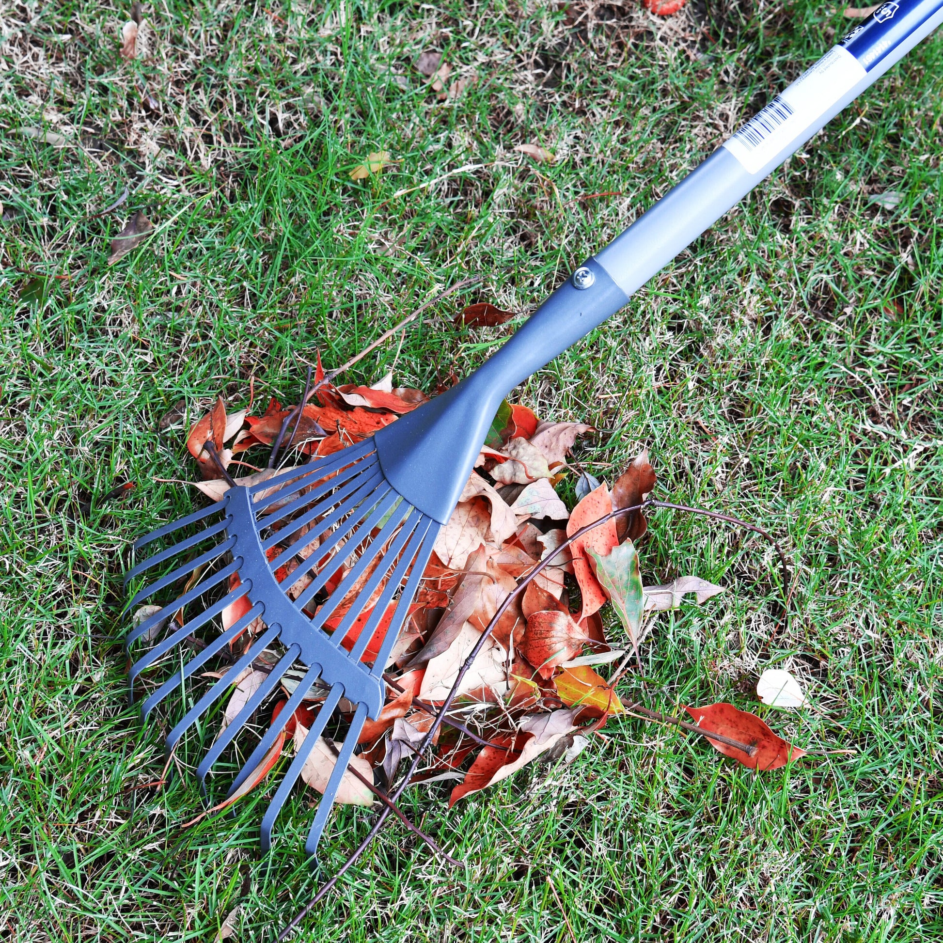 8-In Carbon Steel Lawn Rake with Steel Handle