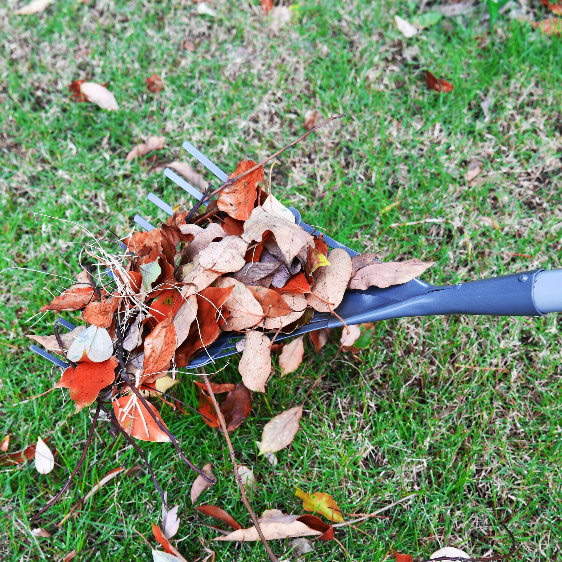 8-In Carbon Steel Lawn Rake with Steel Handle