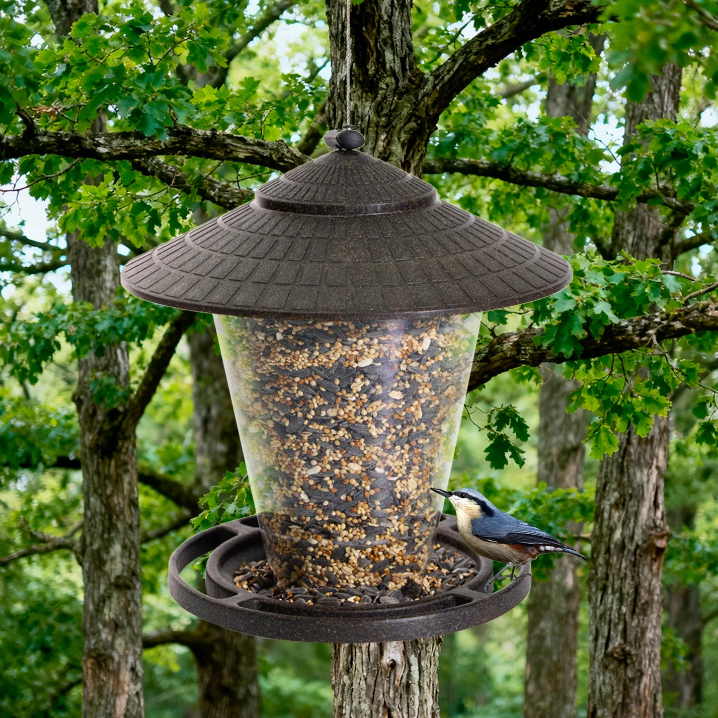 Plastic Hanging Tube Bird Feeder - 2.5-Lb
