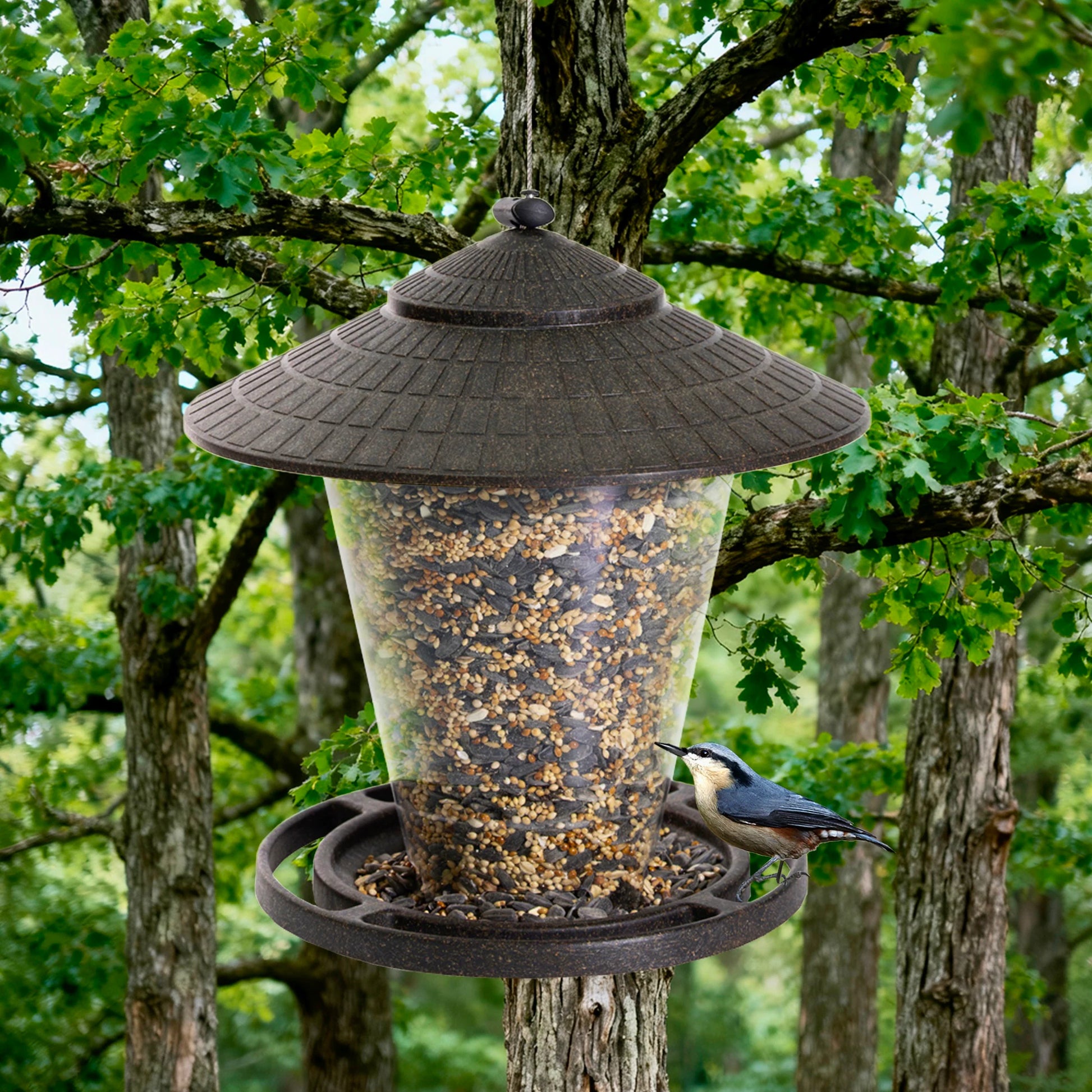 Plastic Hanging Tube Bird Feeder - 2.5-Lb