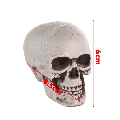 All Size Human Skull Head Skeleton Hanging Skull Halloween Style Photo Prop Home Event Party Decoration Game Supplies