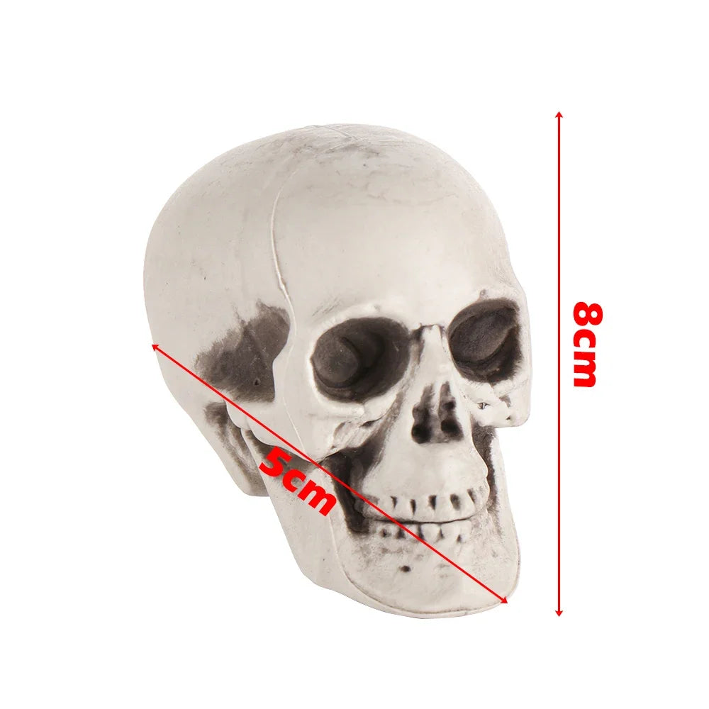 All Size Human Skull Head Skeleton Hanging Skull Halloween Style Photo Prop Home Event Party Decoration Game Supplies