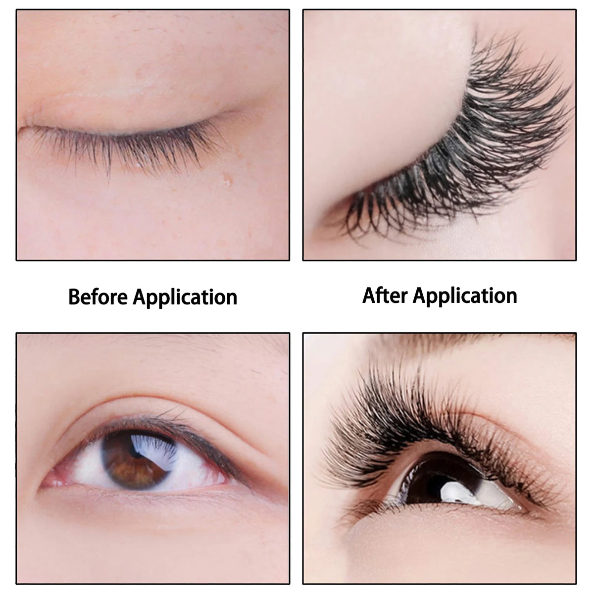DeceMars 6D-W Shaped Eyelash Extension (12line/Tray)